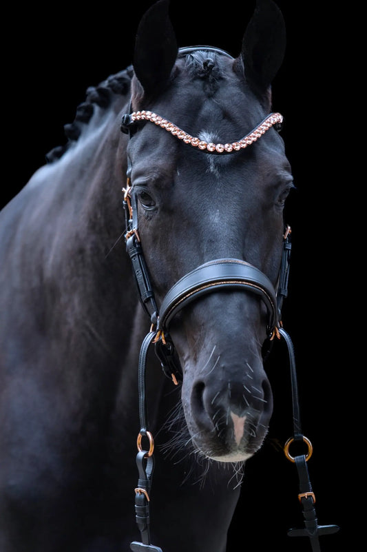 Warum-eine-gebisslose-Trense-nicht-rutschen-darf CR-Harmonyequestrian