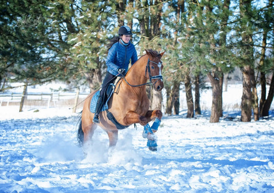 Dressurausbildung mit Harmonie und Leichtigkeit - CR-Harmonyequestrian