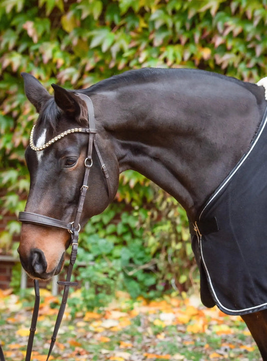 Eine umfassende Betrachtung für ein schonendes und harmonisches Reiterlebnis" - CR-Harmonyequestrian