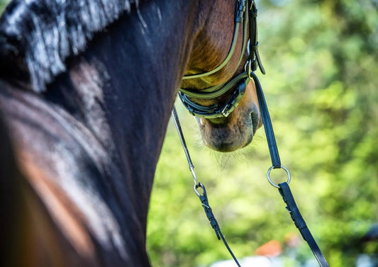 Feinere Kommunikation: Entdecken Sie die Harmonie mit der gebisslosen Trense - CR-Harmonyequestrian