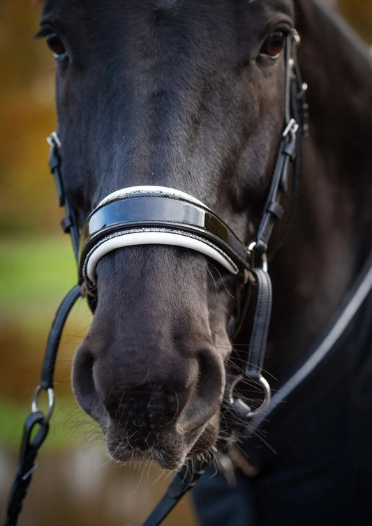 Was ist gebissloses Reiten und wie funktioniert es?" - CR-Harmonyequestrian