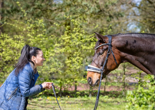 Wie der gebisslose Zaum meine Denkweise beim reiten verändert hat - CR-Harmonyequestrian