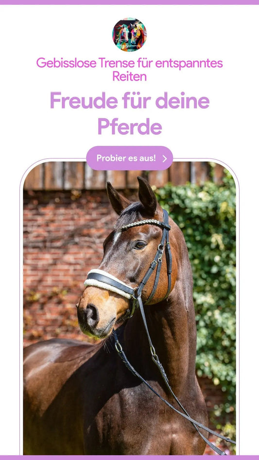 Zu den Vorteilen des gebisslosen Reitens: - CR-Harmonyequestrian
