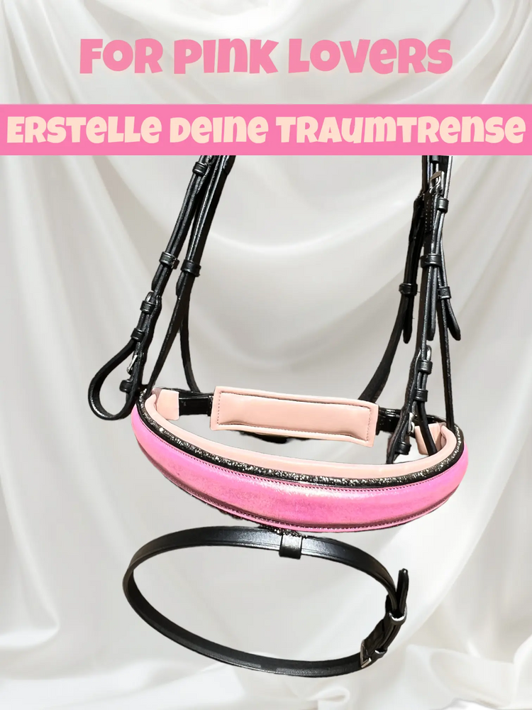 PreOrder CR-Harmonyequestrian