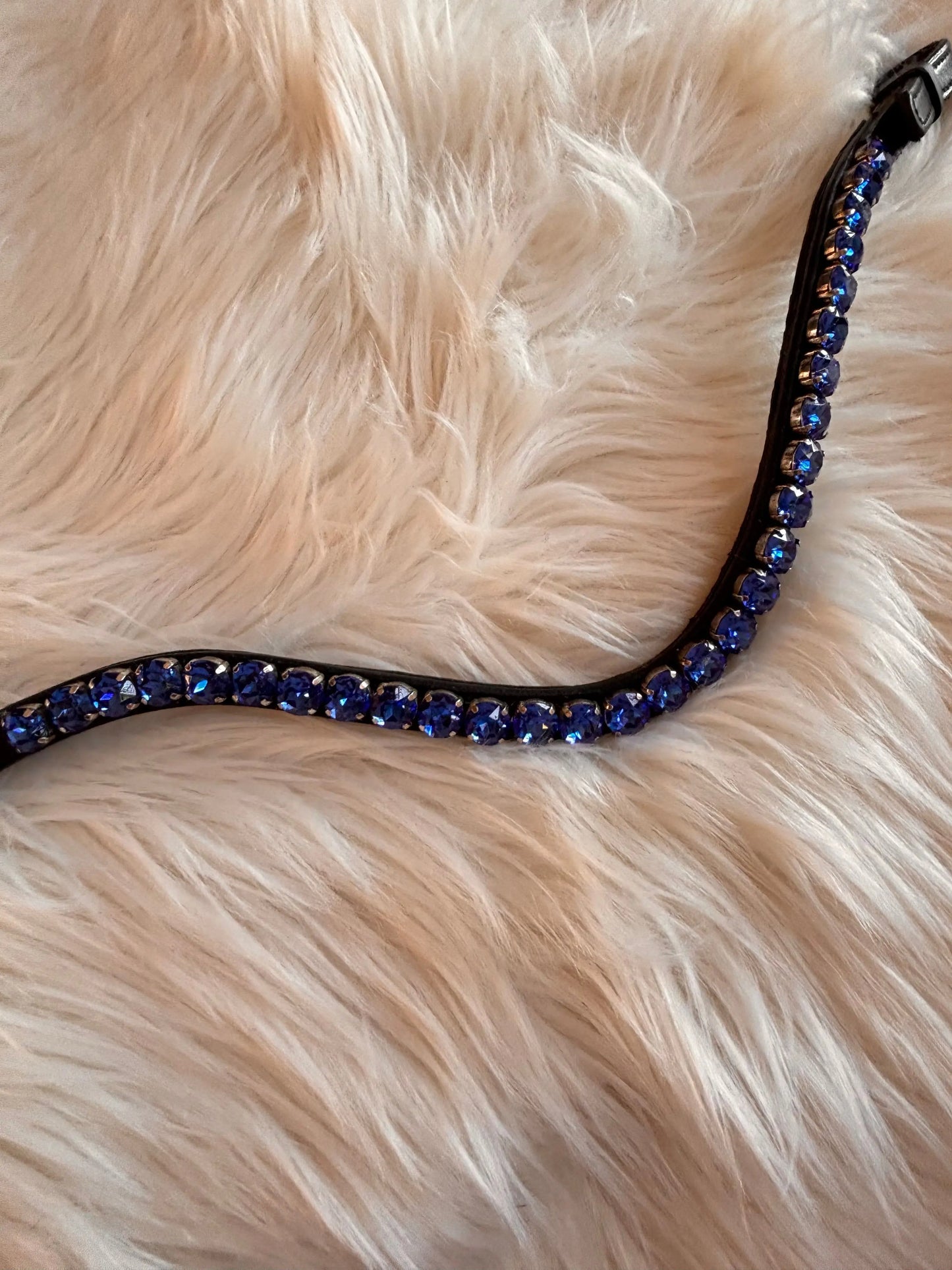 Stirnriemen Big Sapphire CR-Harmonyequestrian