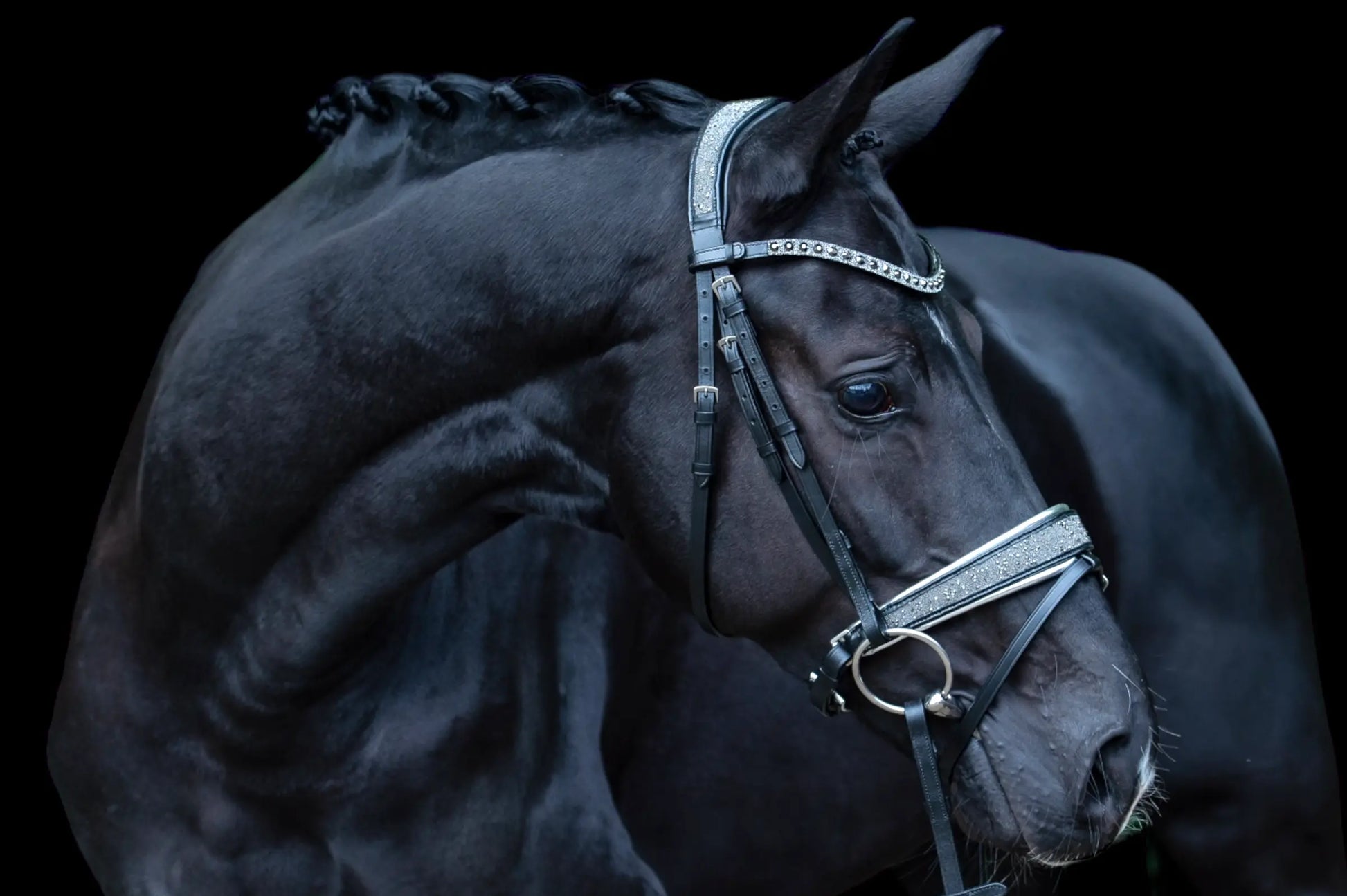 Trense Diamond Dust Vollblut CR-Harmonyequestrian