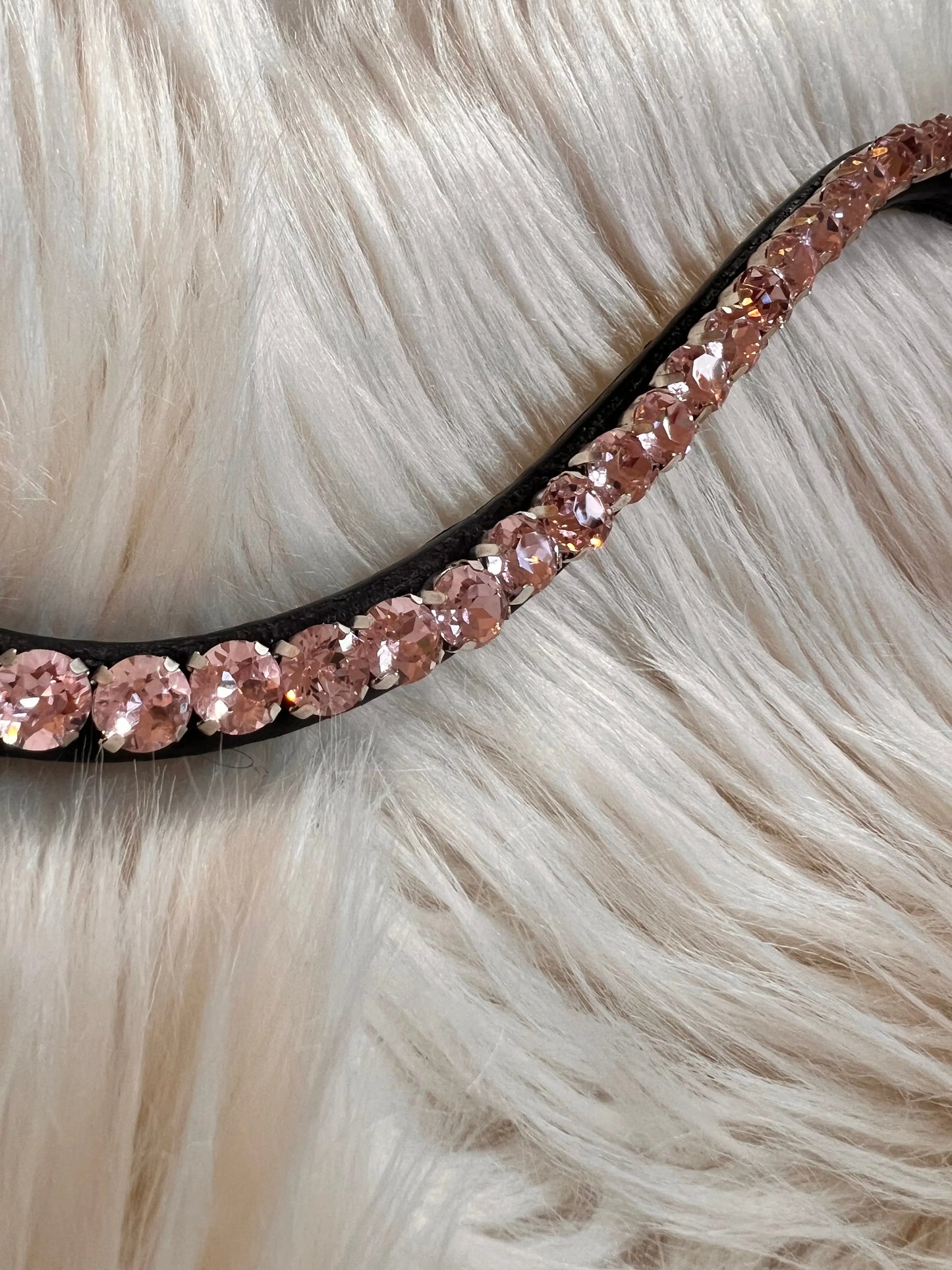 Stirnriemen Slim Rosa CR-Harmonyequestrian