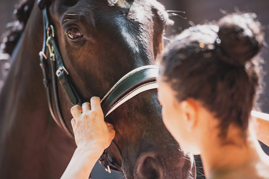 Glitterpad für die gebisslose Trense mit Crystal Rocks CR-Harmonyequestrian