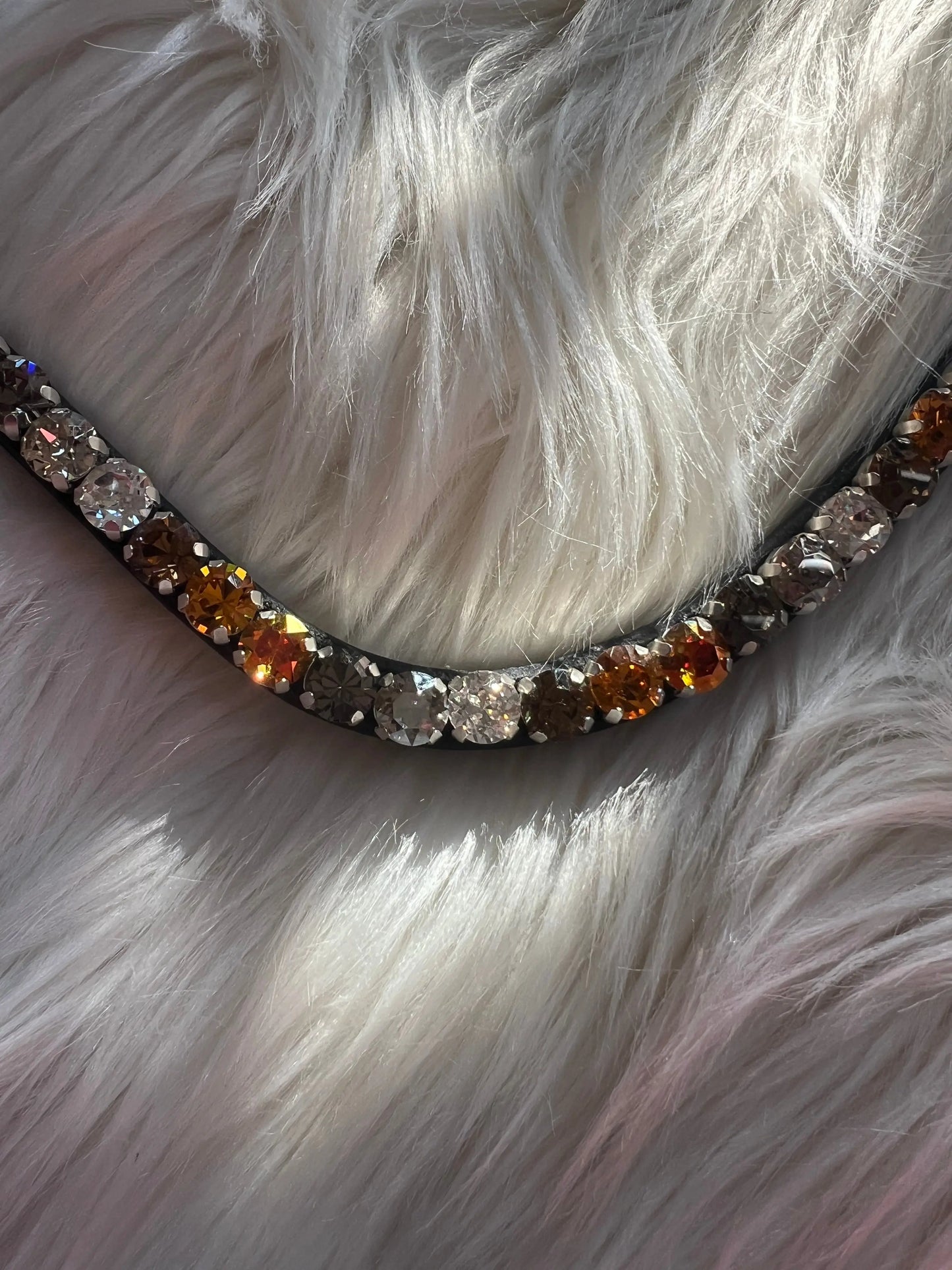 Stirnriemen Earthly Elegance CR-Harmonyequestrian