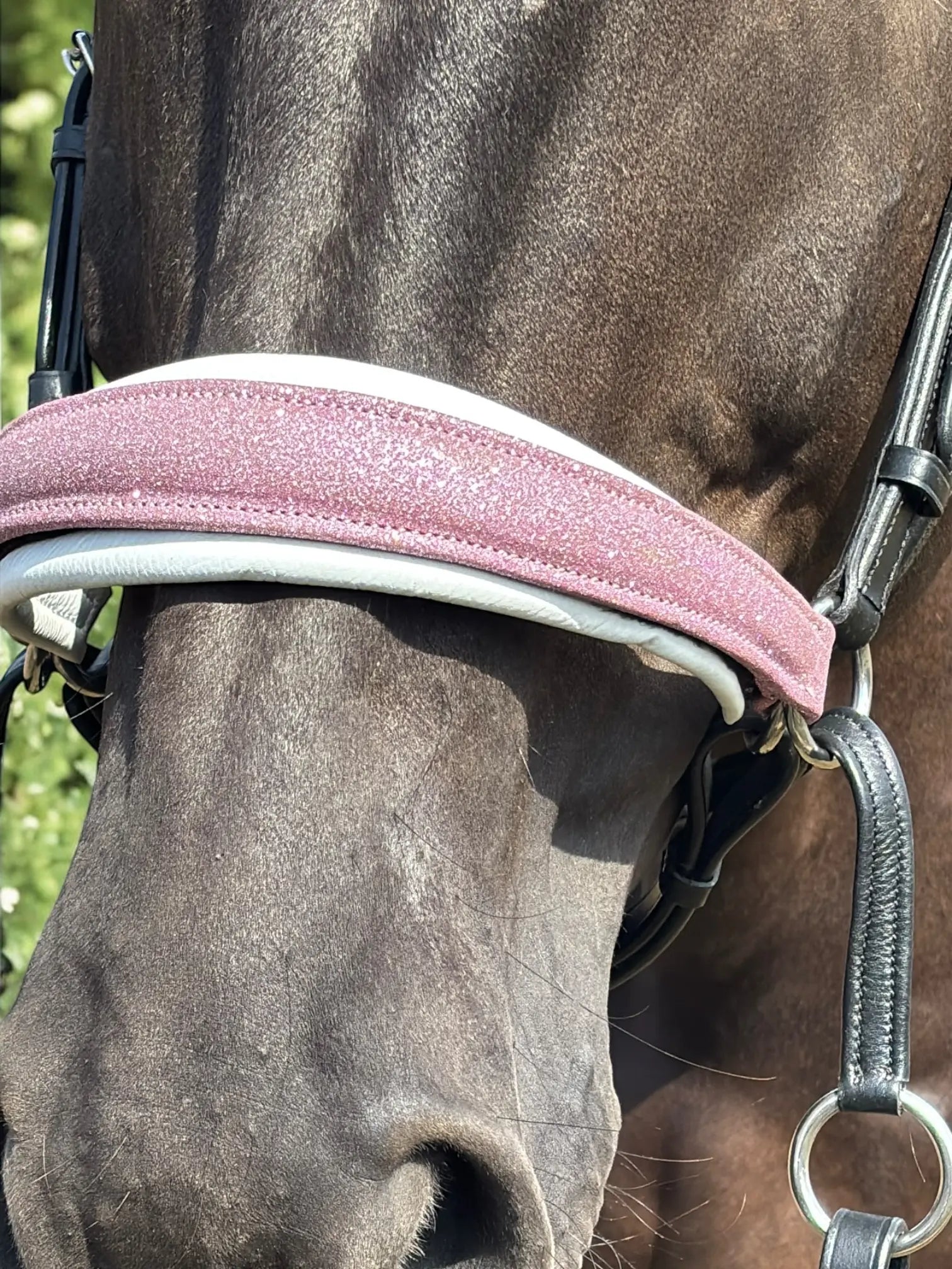 Glitzer Trense Rosa - gebisslos CR-Harmonyequestrian