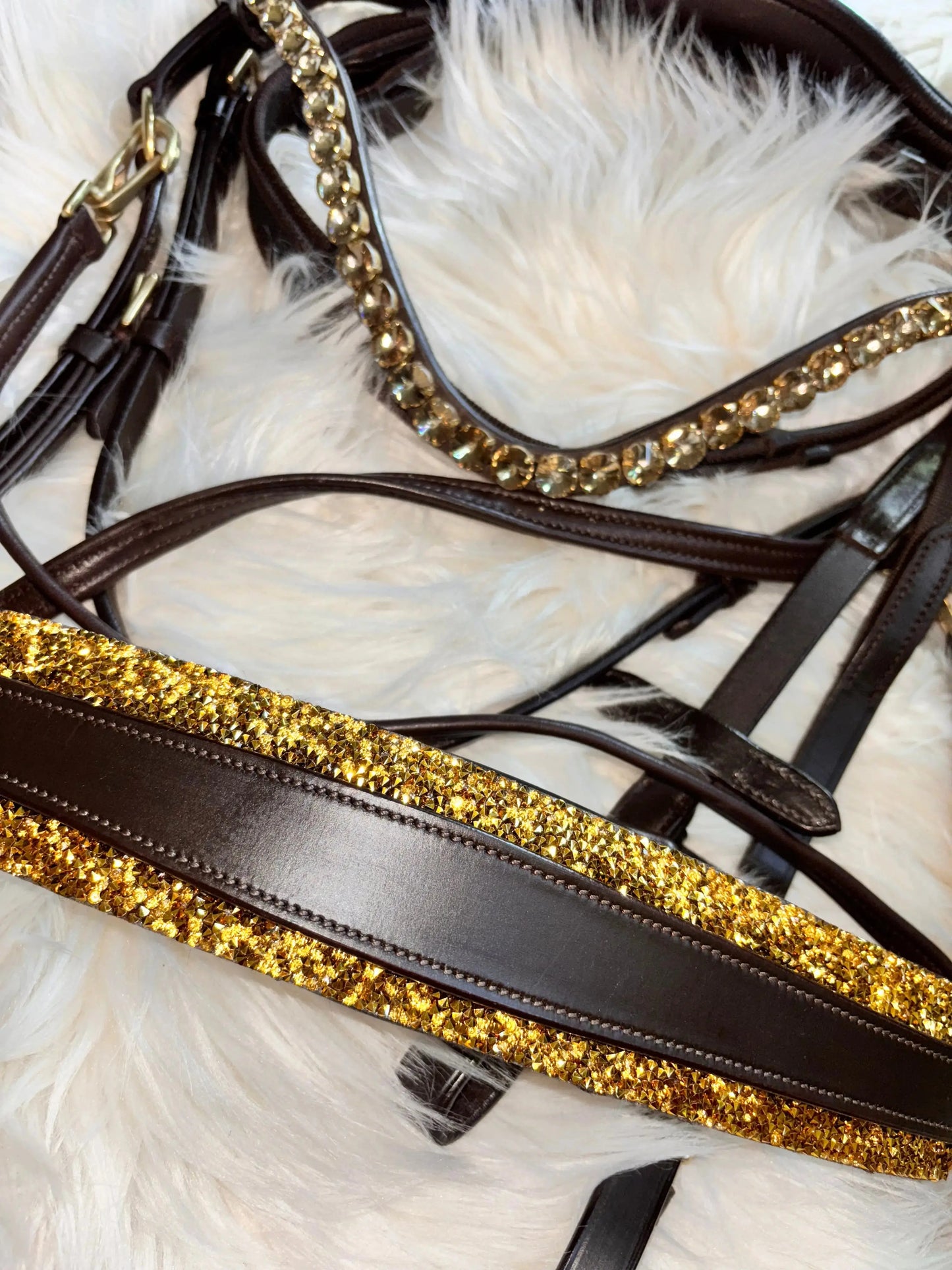 Gold Edition LACK - Harmony Bridle - gebisslose Zäumung CR-Harmonyequestrian