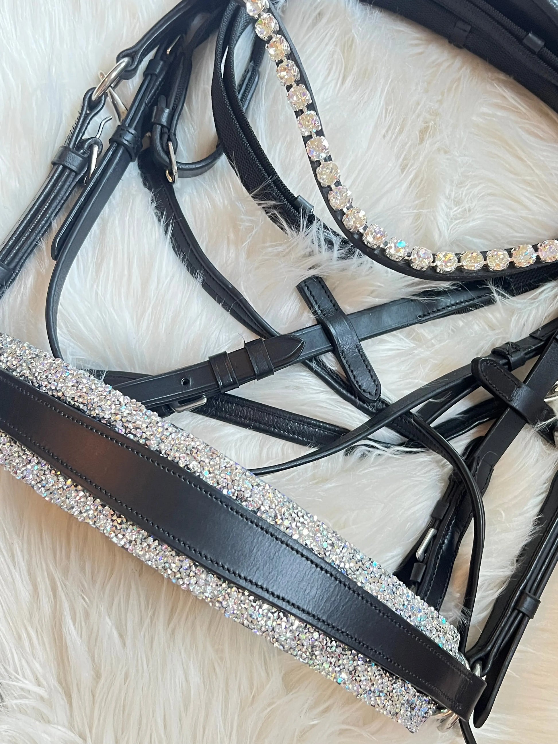 Moonlight Shine - jetzt auch gebisslos - CR-Harmonyequestrian