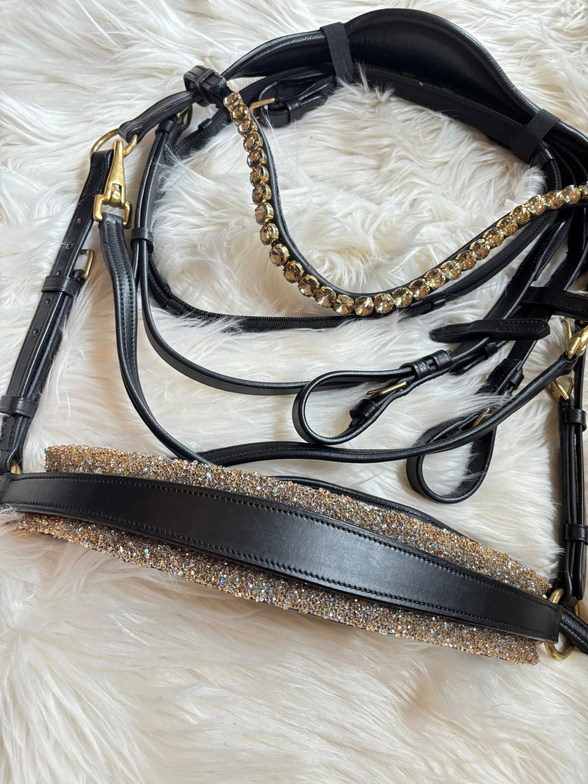 Gebisslose Trense Solaris CR-Harmonyequestrian