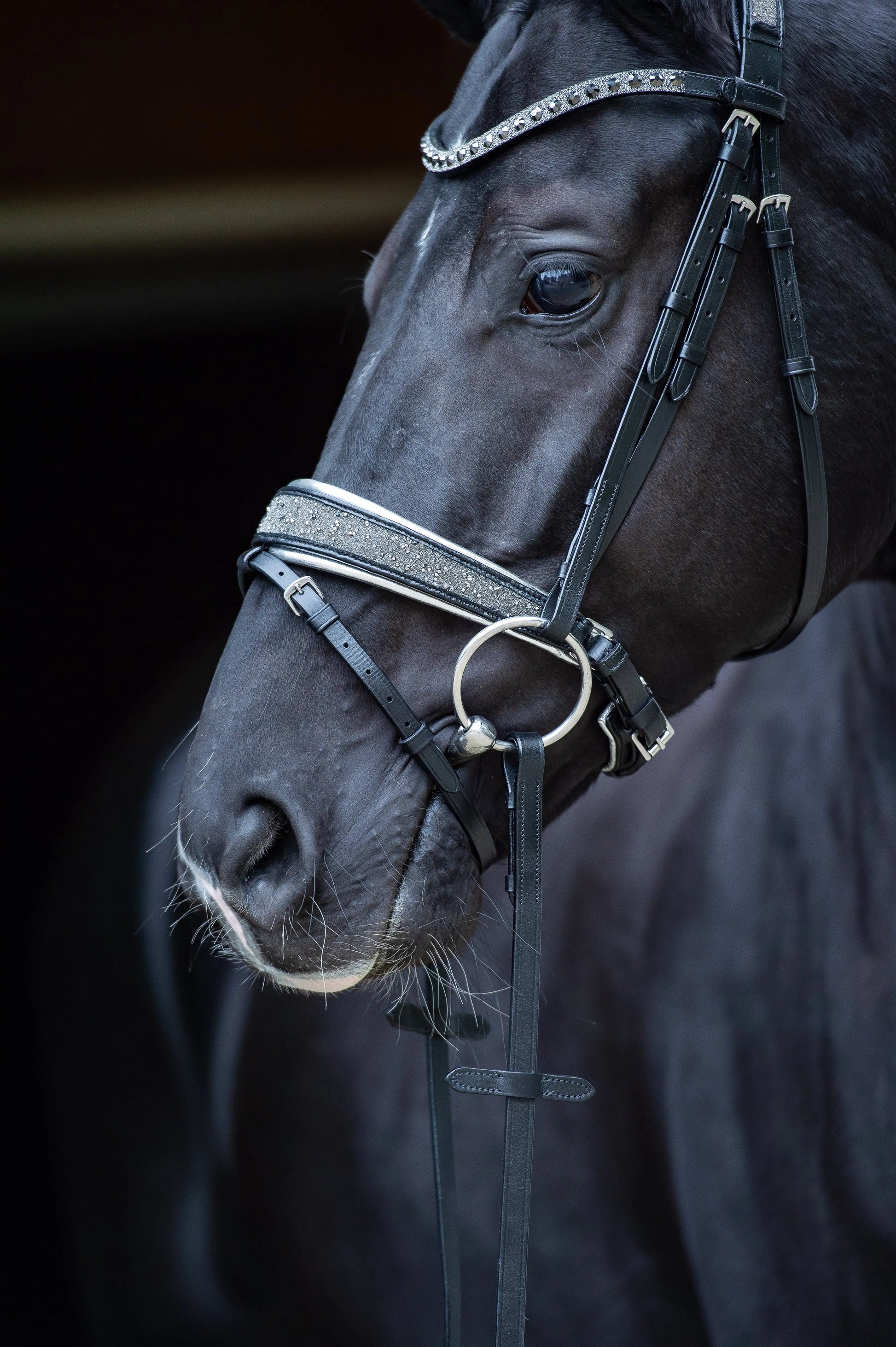 Trense Diamond Dust Vollblut CR-Harmonyequestrian