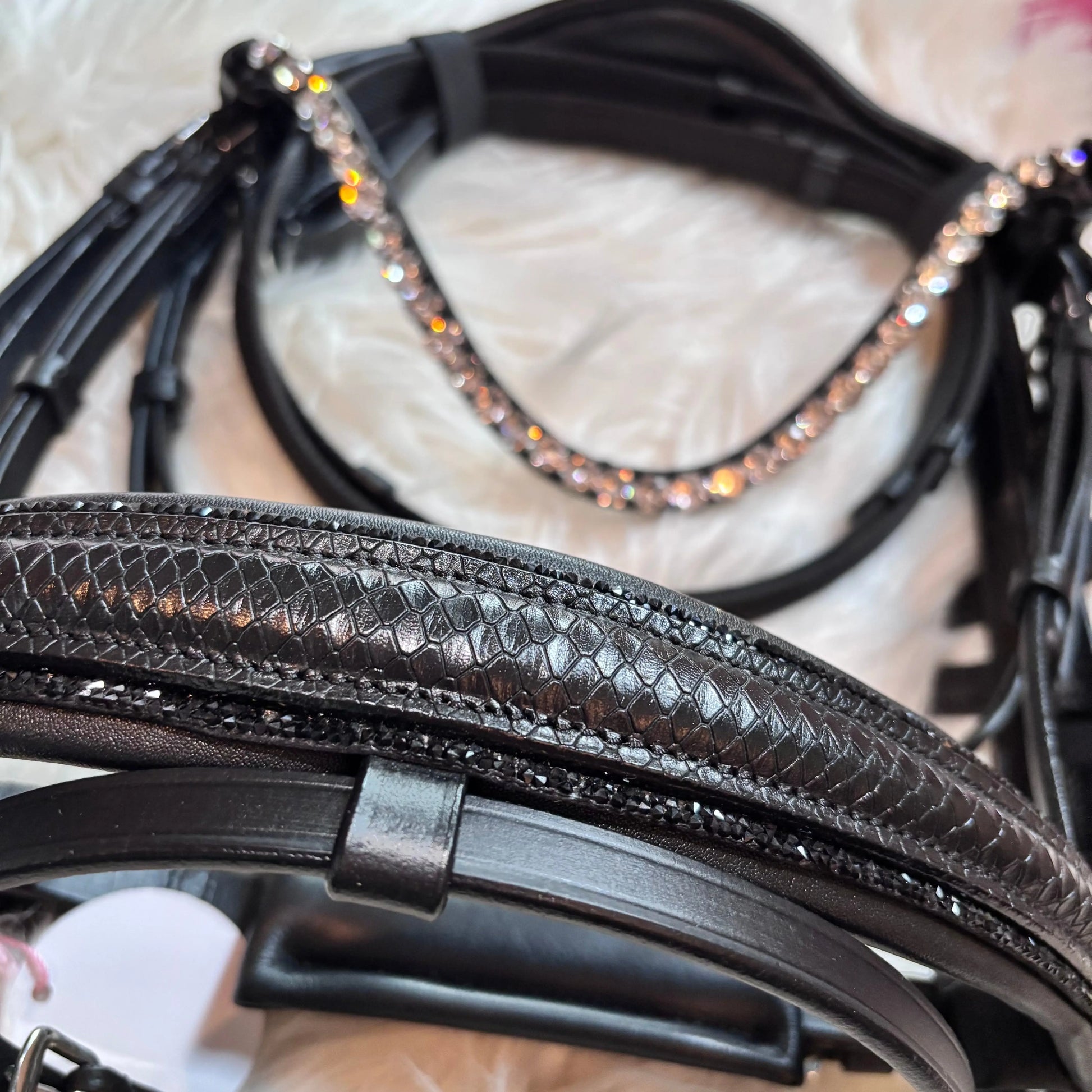 Lizard Black Ponytrense CR-Harmonyequestrian