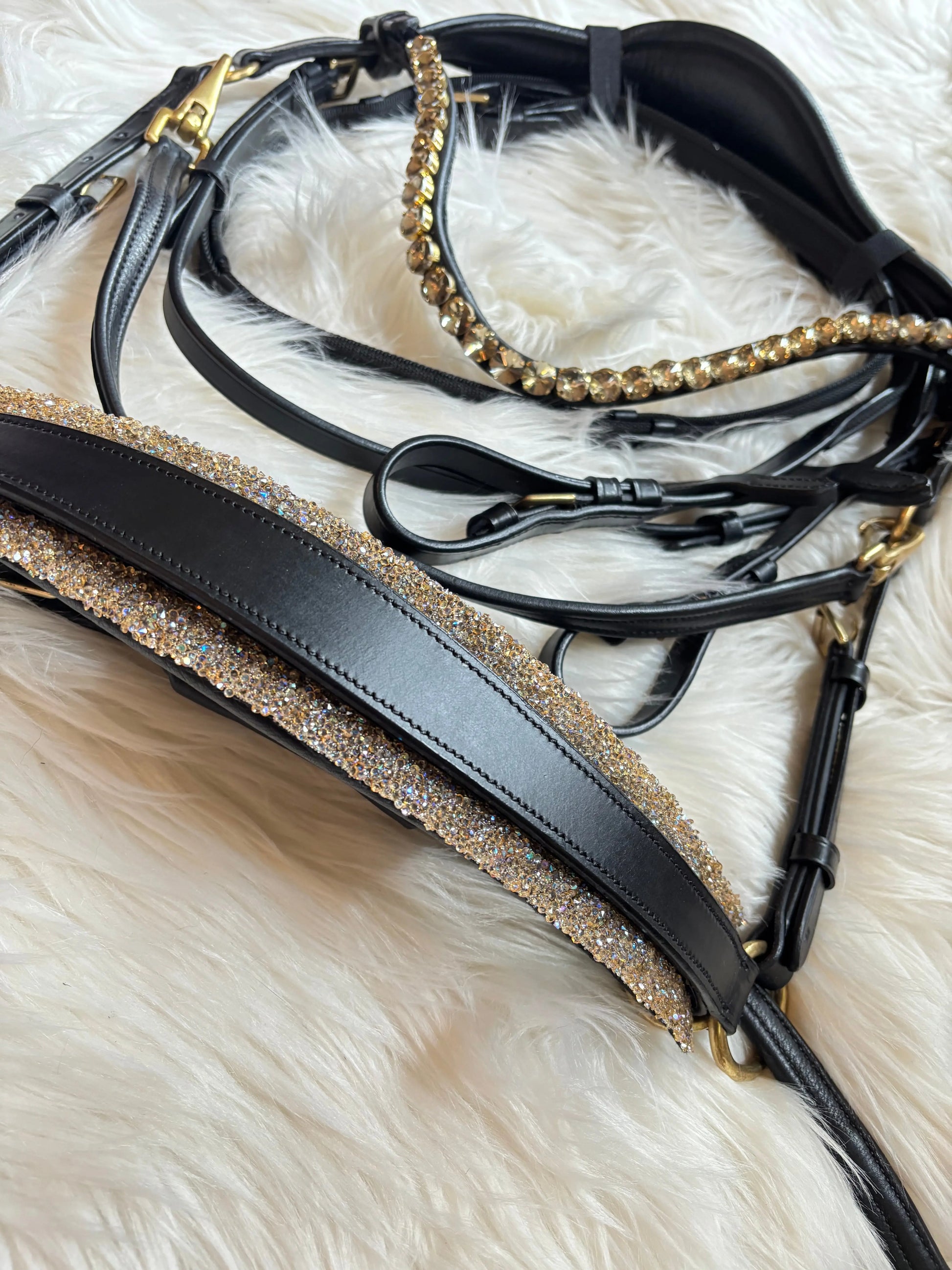 Gebisslose Trense Solaris CR-Harmonyequestrian