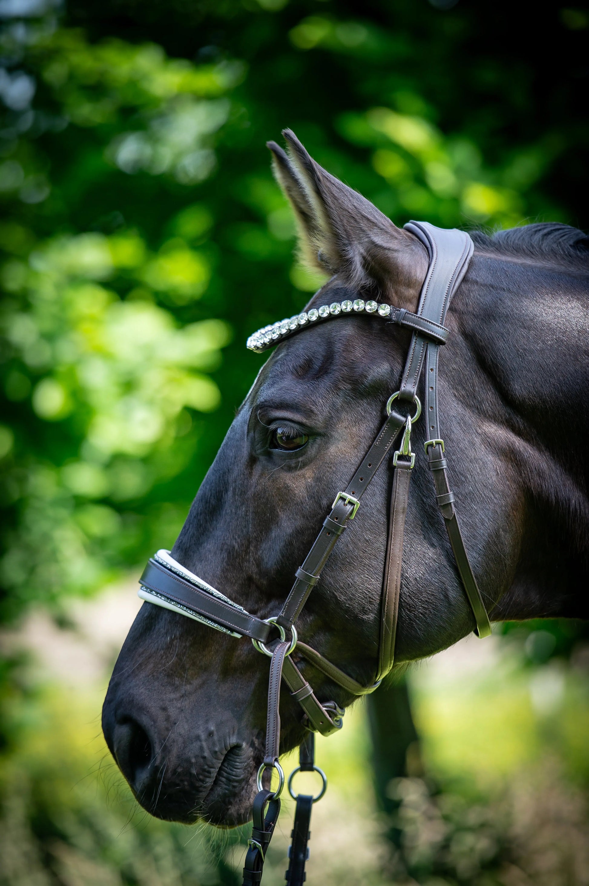 Glitterpad für gebisslose Trense mit Crystal Rocks CR-Harmonyequestrian