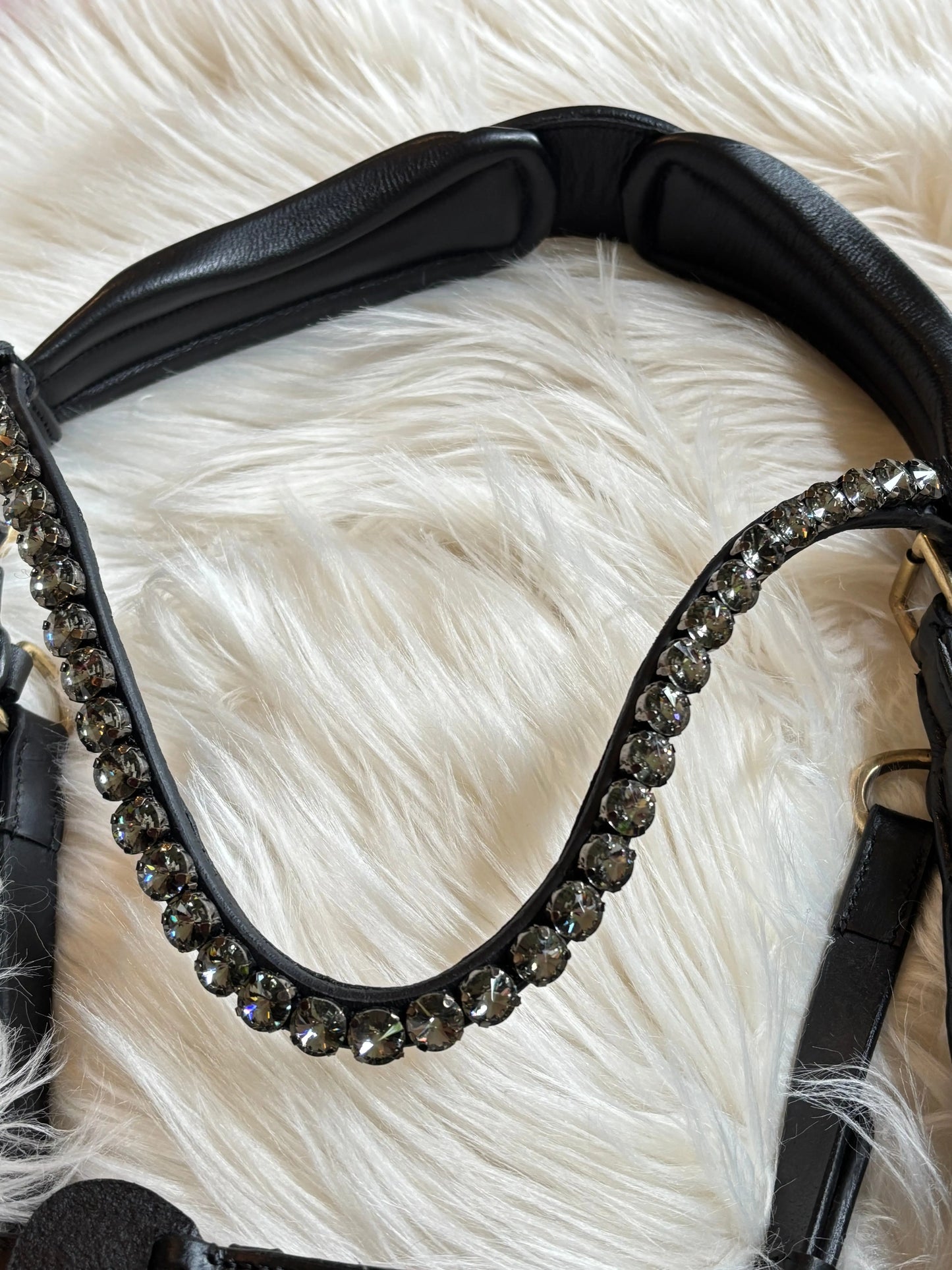 Midnight Supreme – Lack Gold Edition Braun & Schwarz - CR-Harmonyequestrian