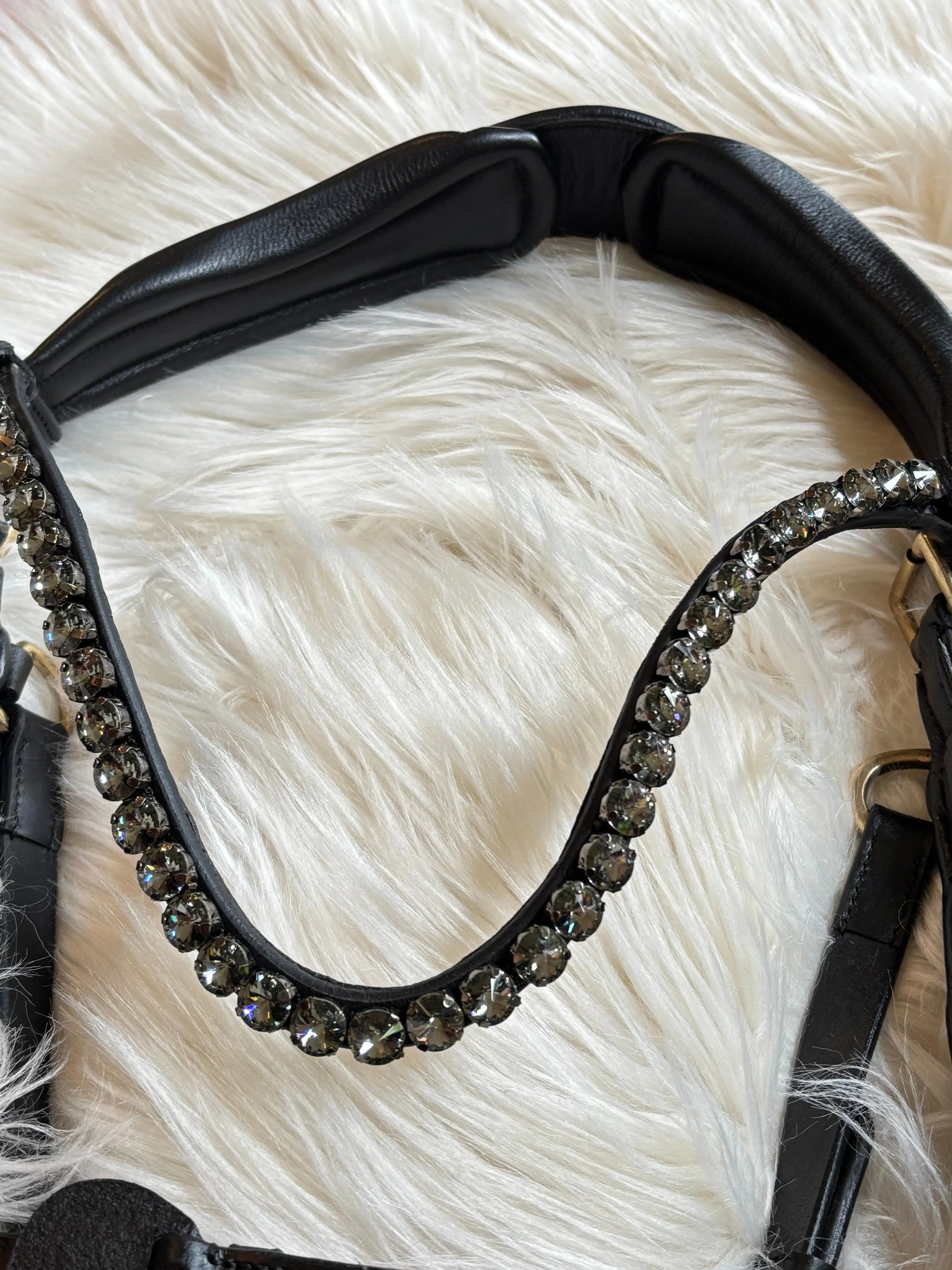 Midnight Supreme – Lack Gold Edition Braun & Schwarz - CR-Harmonyequestrian