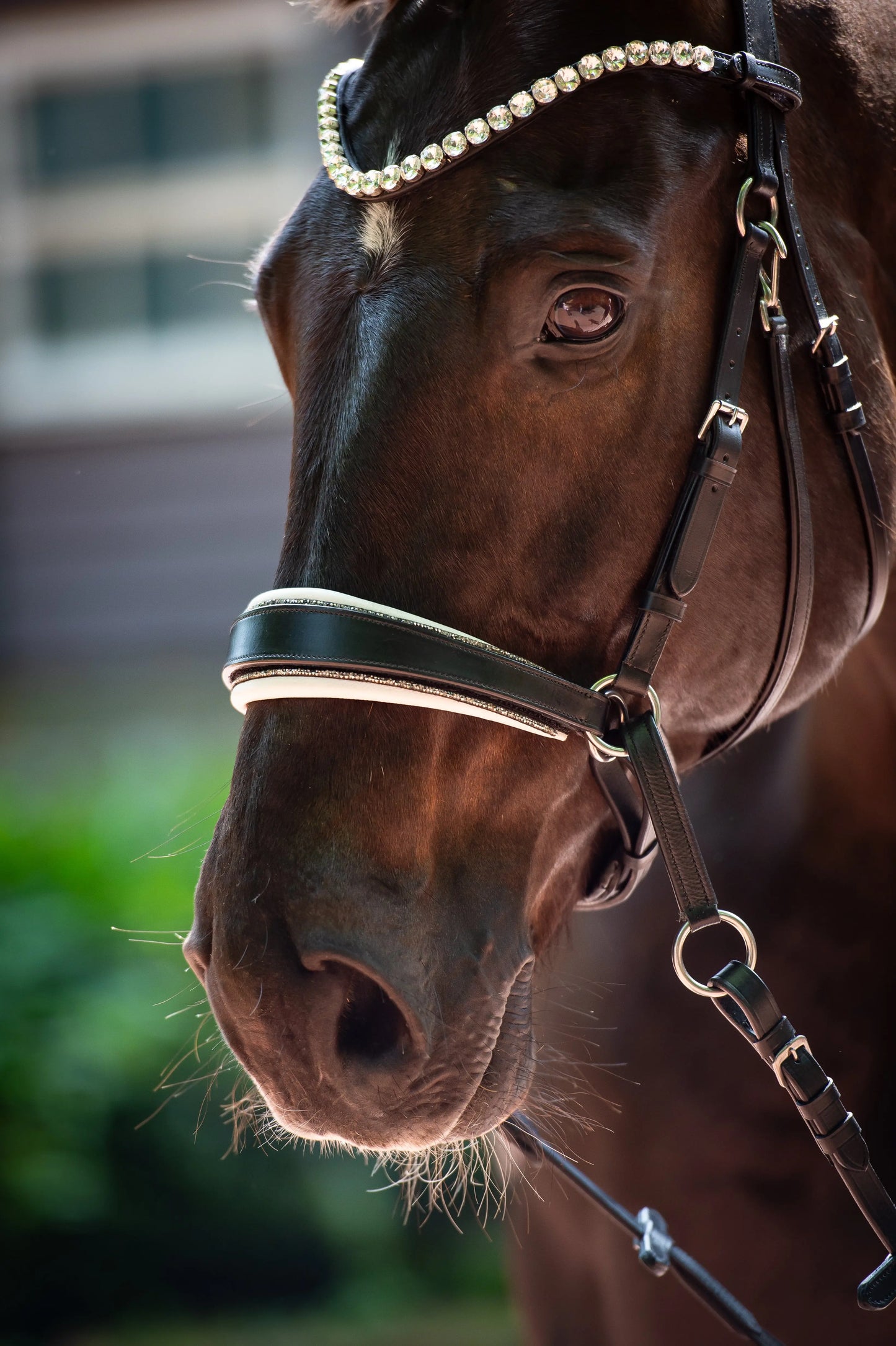 Glitterpad für gebisslose Trense mit Crystal Rocks CR-Harmonyequestrian