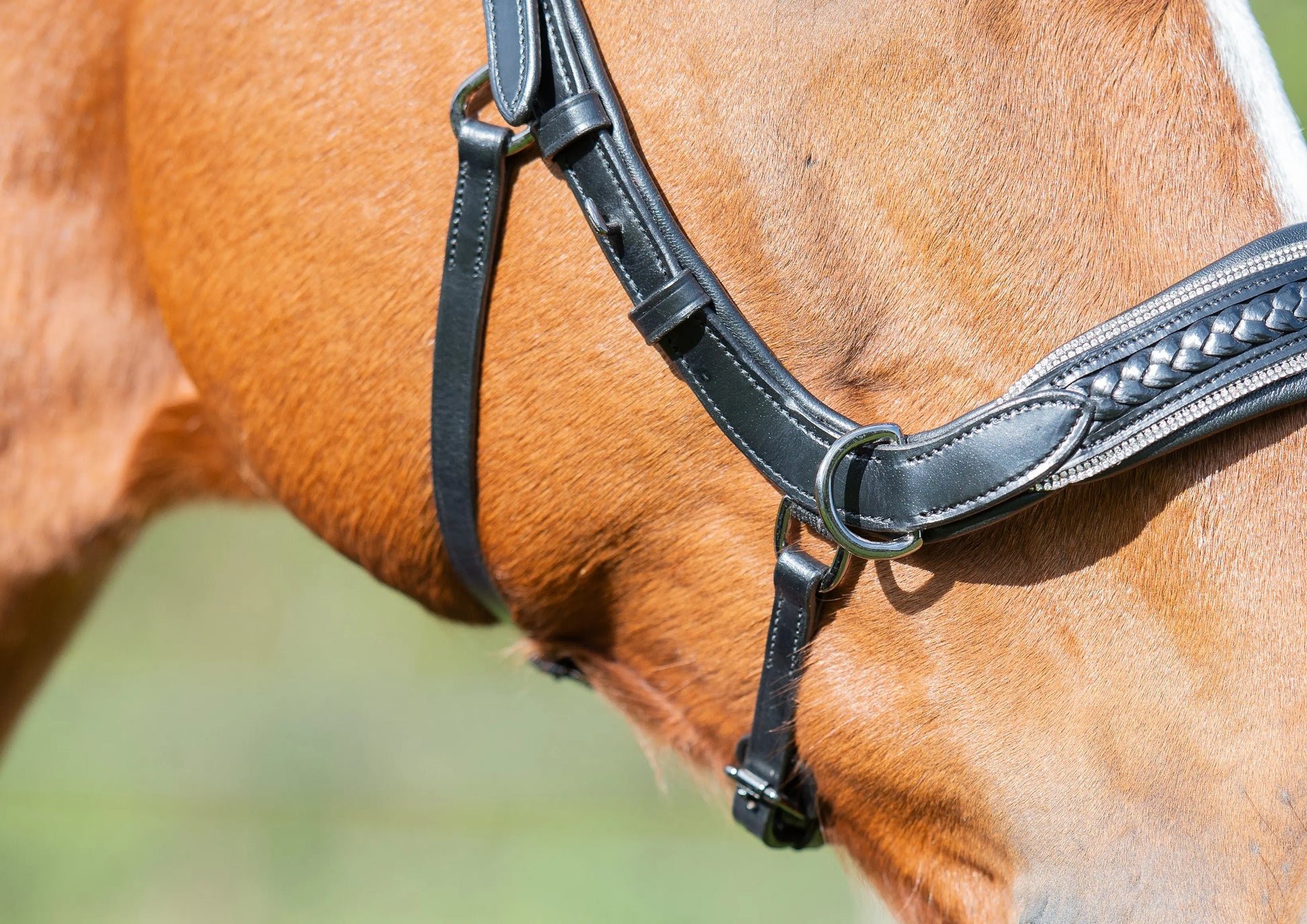 Midnight Supreme - CR-Harmonyequestrian Geflochtene Trense 240.00