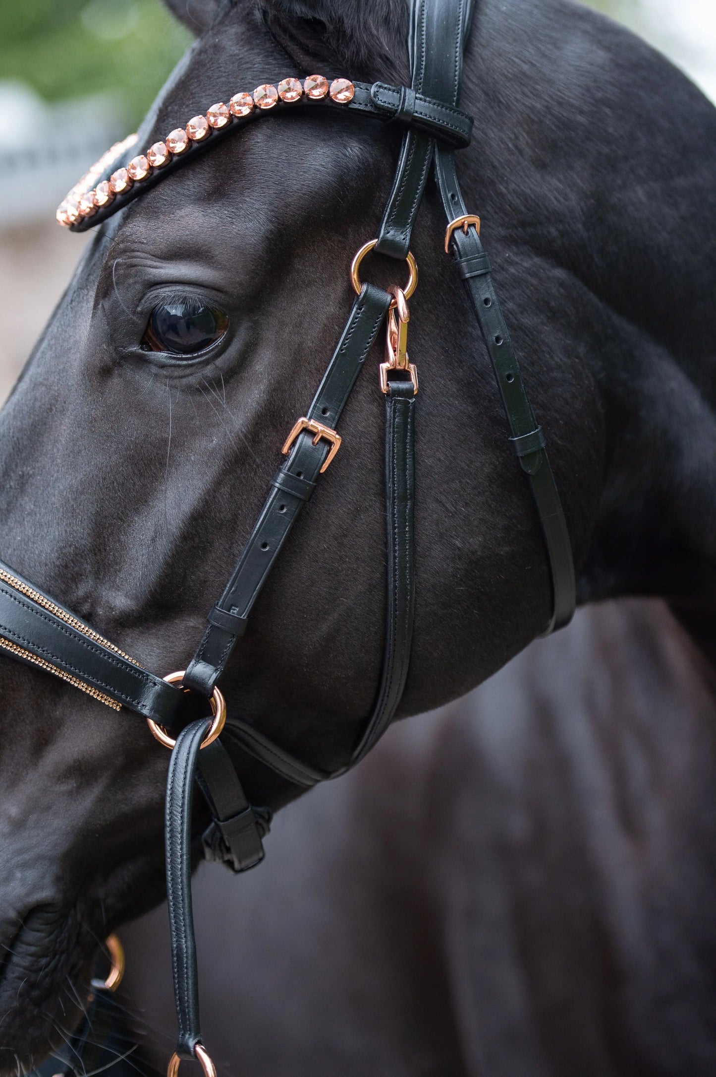Harmony Bridle Roségold Editon CR-Harmonyequestrian