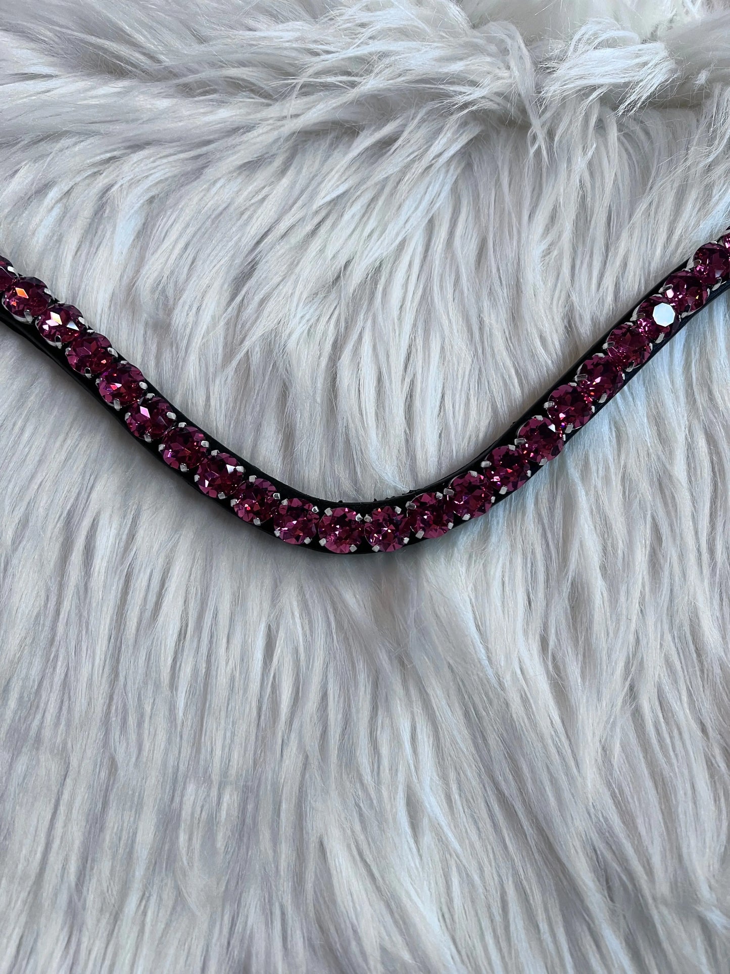 Bandeau de tête Rose Day CR-Harmonyequestrian