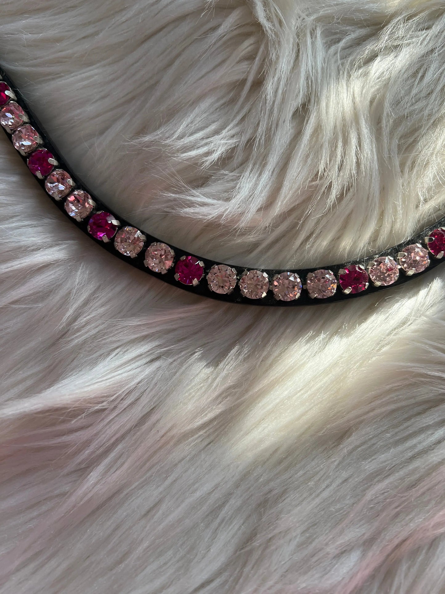 Stirnriemen Lola CR-Harmonyequestrian