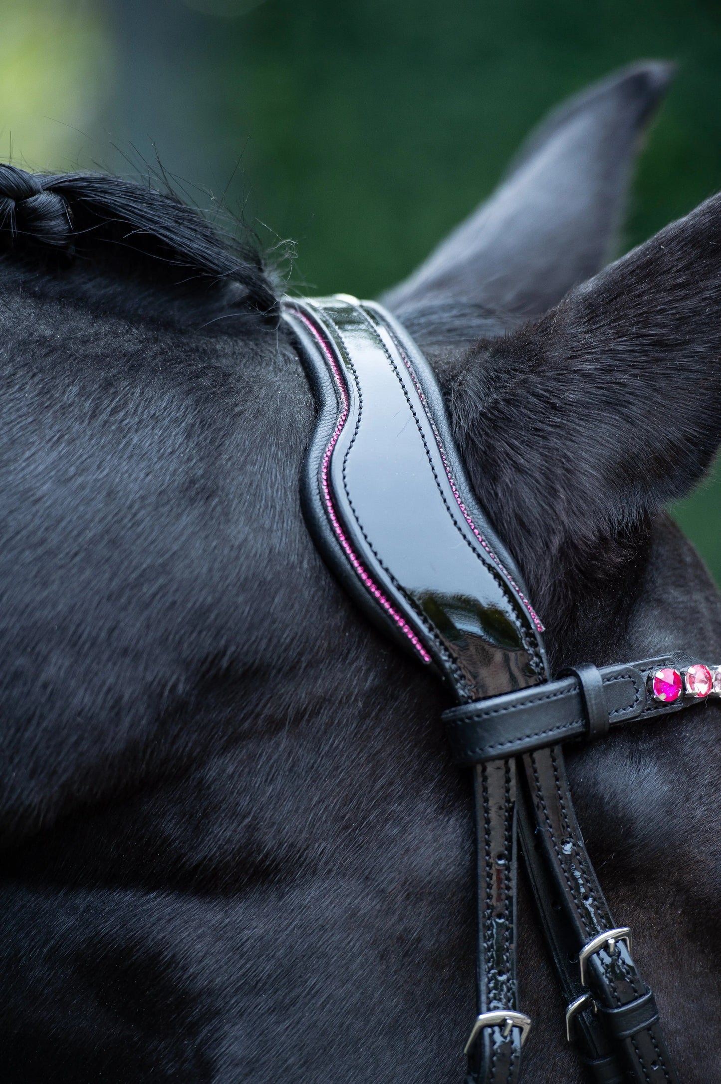 Trense Candy Pink CR-Harmonyequestrian