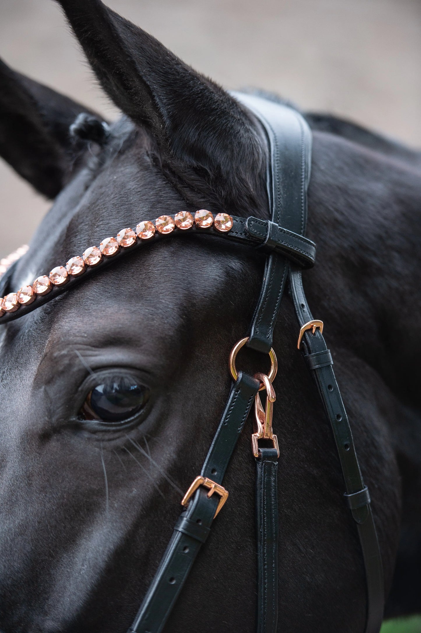 Harmony Bridle Roségold Editon CR-Harmonyequestrian