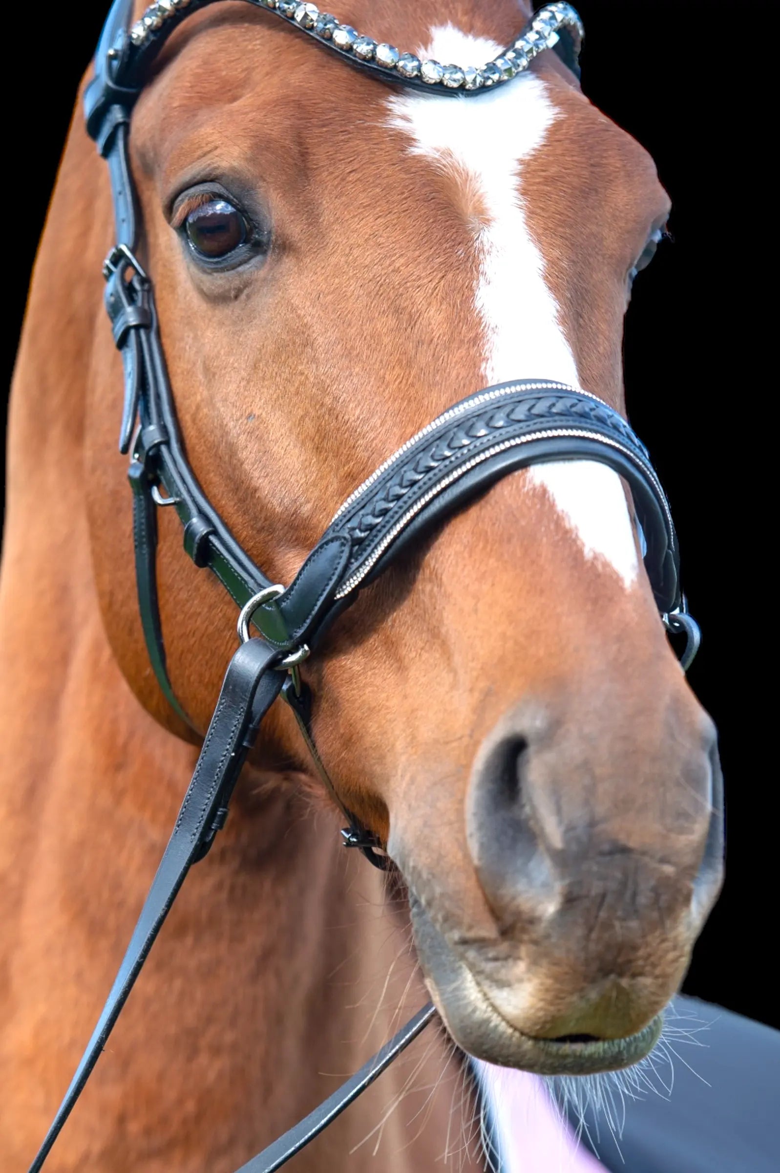 Midnight Supreme - CR-Harmonyequestrian Geflochtene Trense 240.00