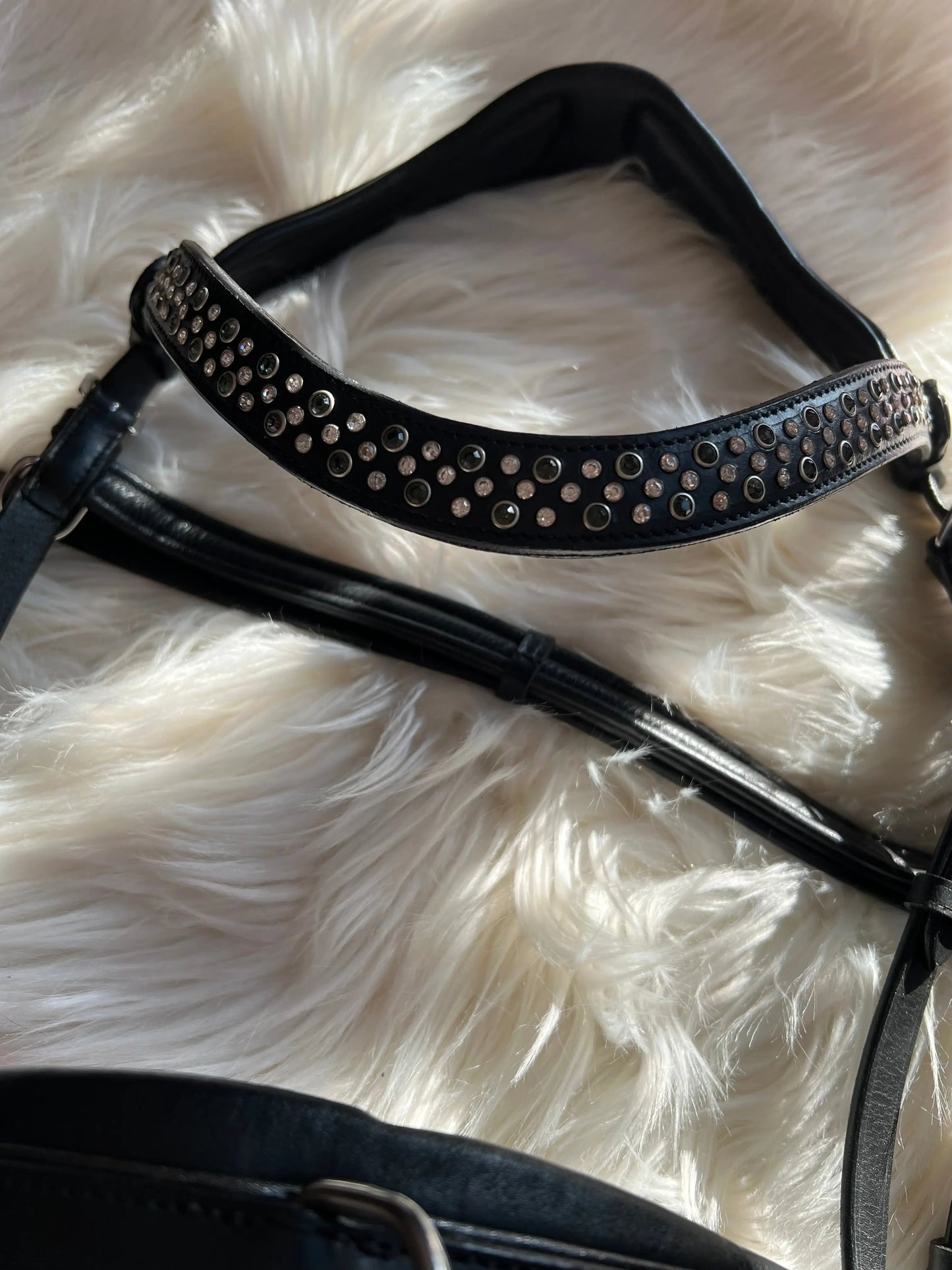 Multizaum Vollblut - CR-Harmonyequestrian