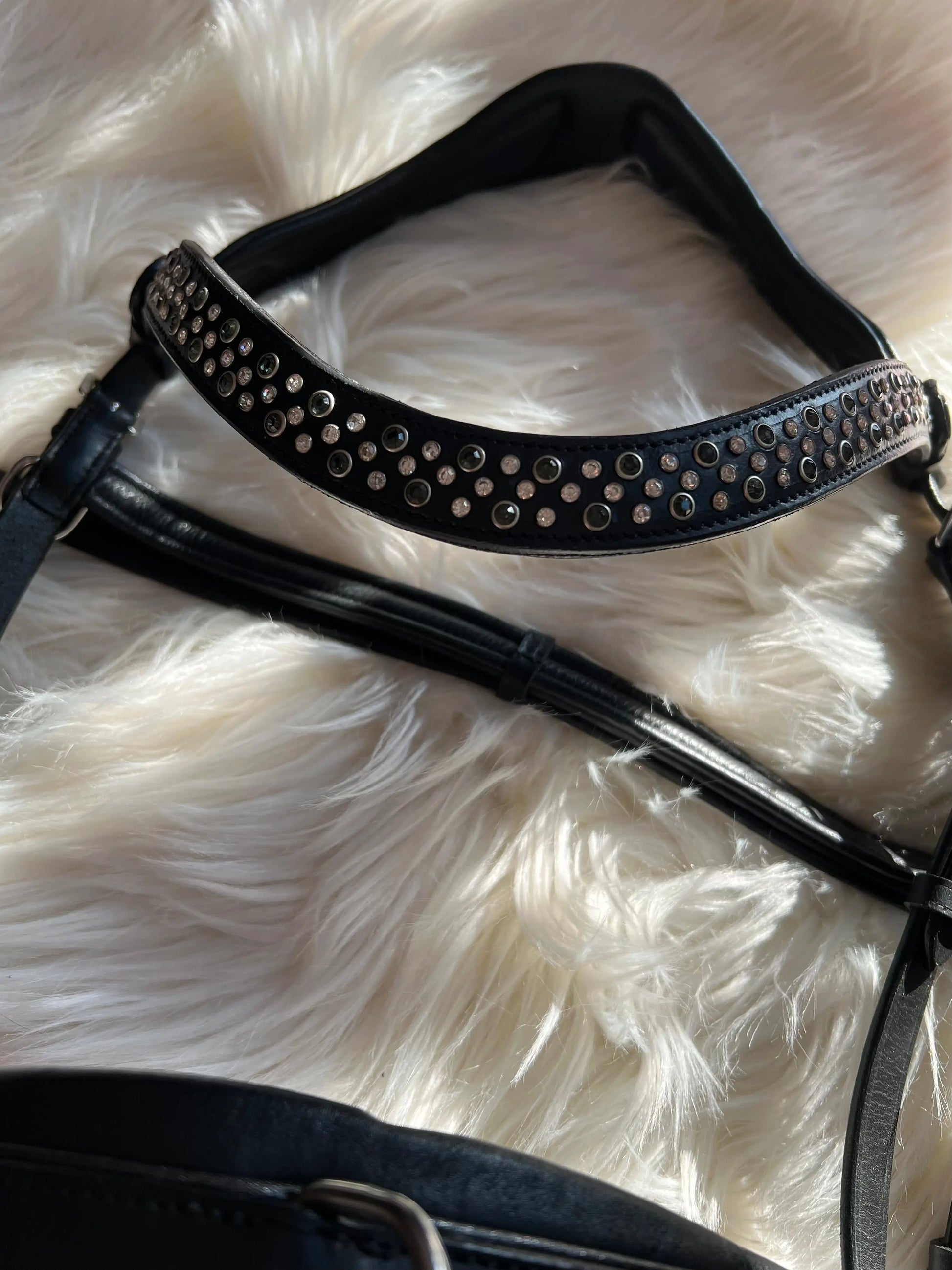 Multizaum Vollblut - CR-Harmonyequestrian