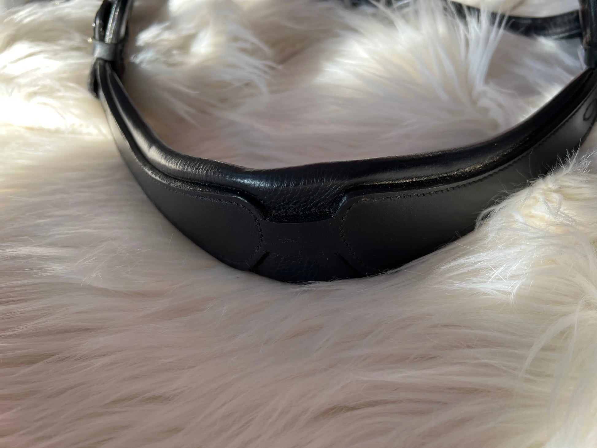 Multizaum Vollblut - CR-Harmonyequestrian