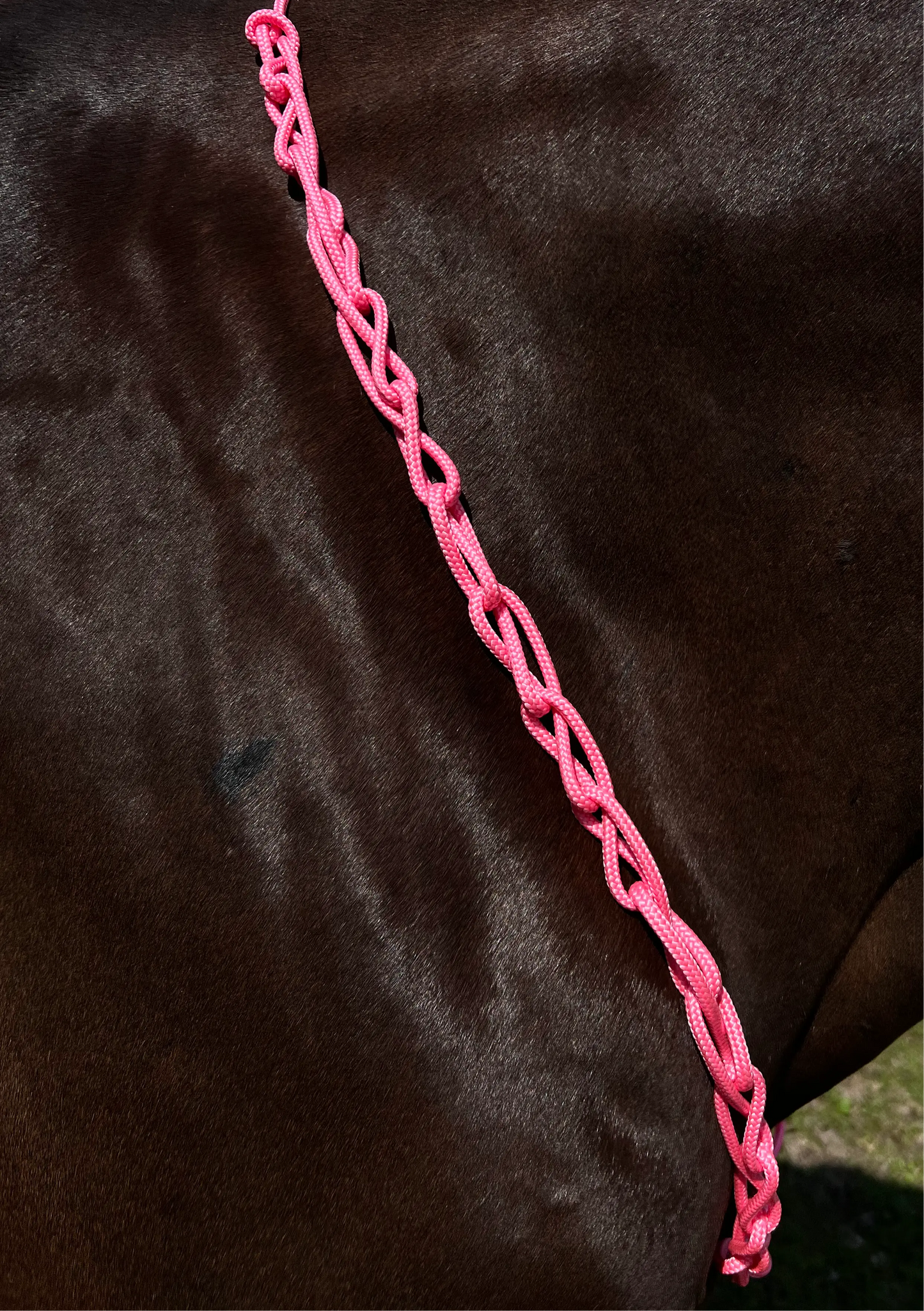 Balancezügel CR CR-Harmonyequestrian