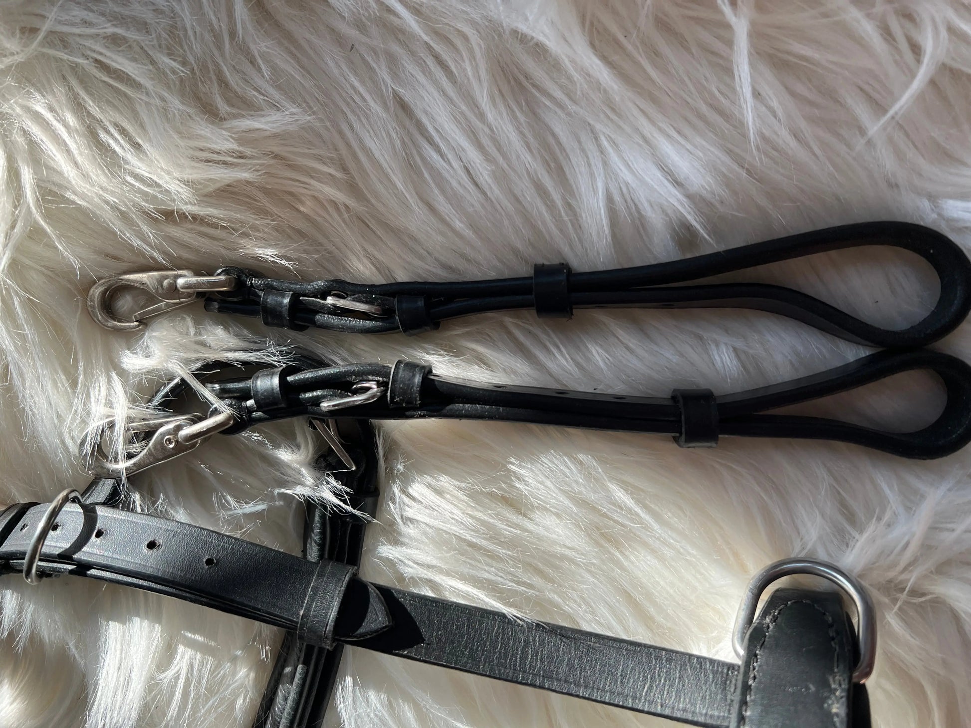 Multizaum Vollblut - CR-Harmonyequestrian