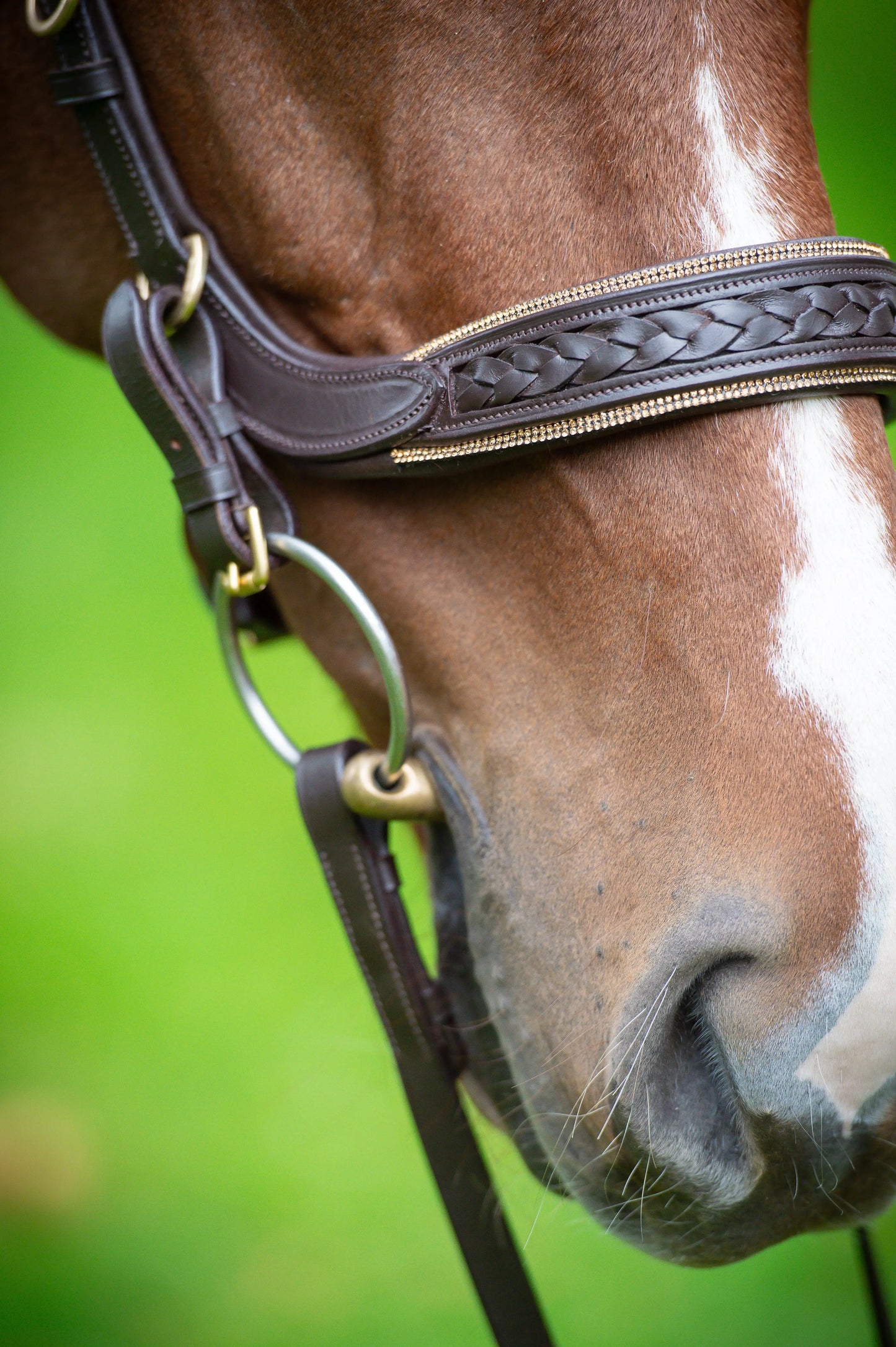 Trense Midnight CR-Harmonyequestrian