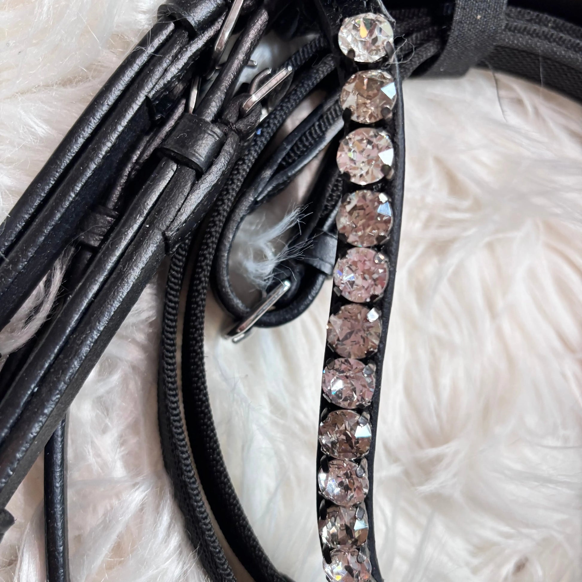 (Kopie) Lizard Black Ponytrense CR-Harmonyequestrian