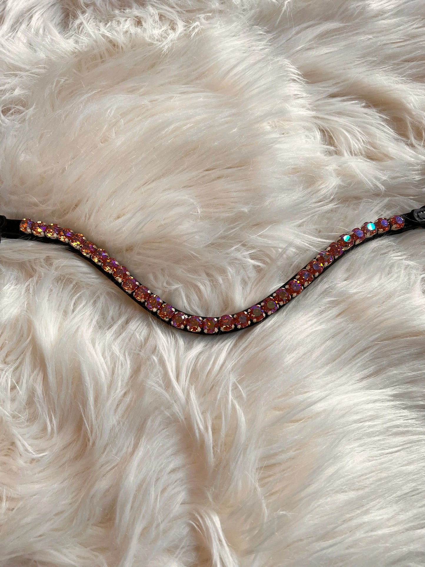 Stirnriemen Orange CR-Harmonyequestrian