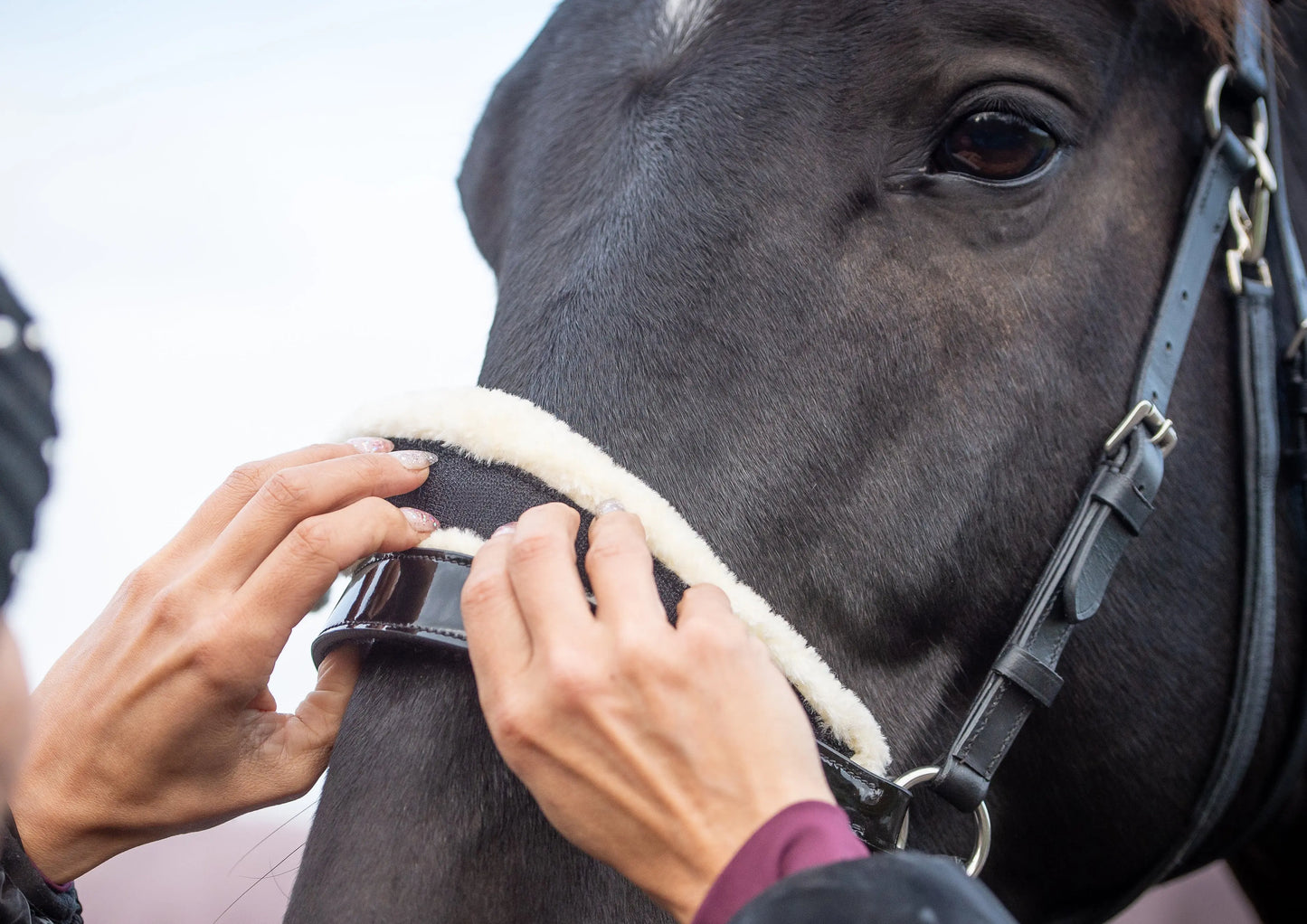 gebisslose Trense in Lack Luxury HB Bridle CR-Harmonyequestrian