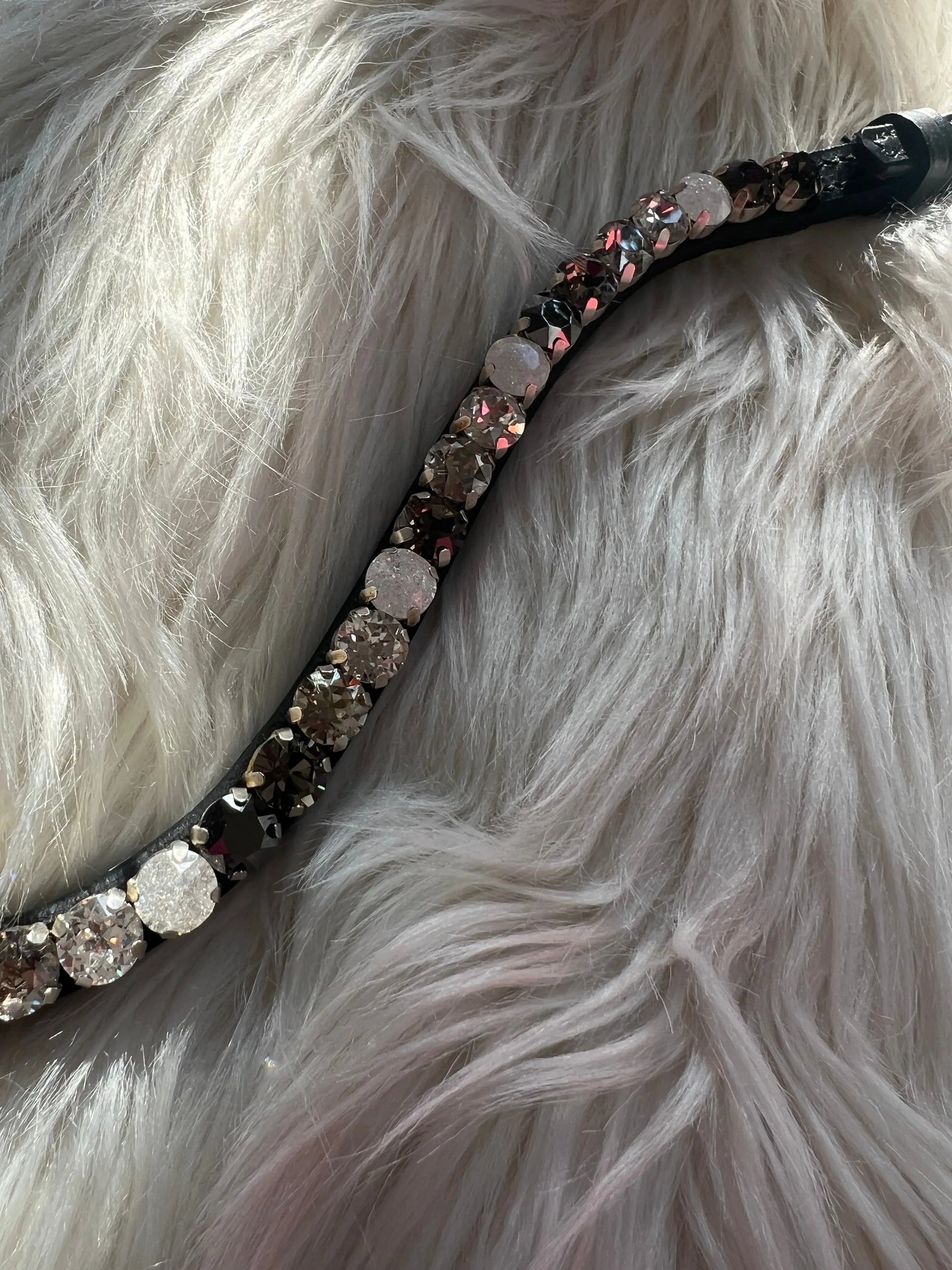 Stirnriemen Black & White CR-Harmonyequestrian