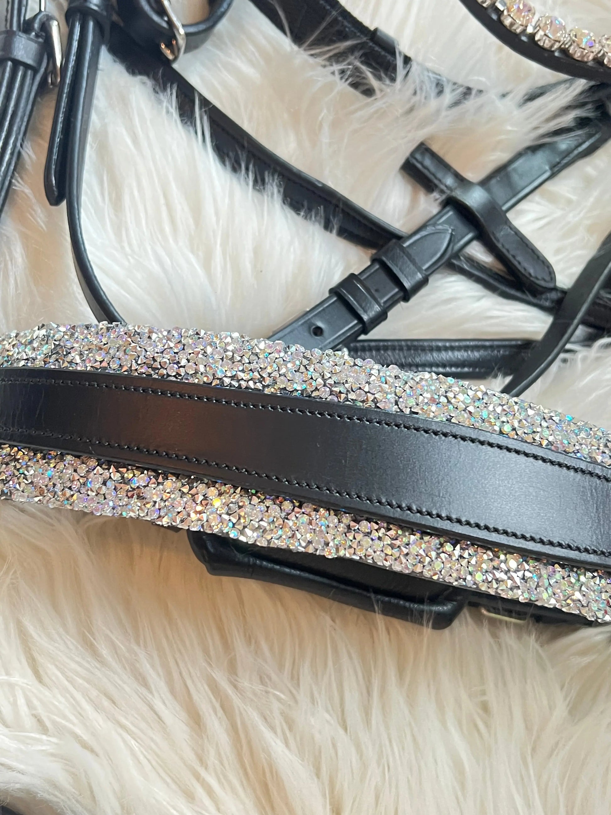 Moonlight Shine - jetzt auch gebisslos - CR-Harmonyequestrian