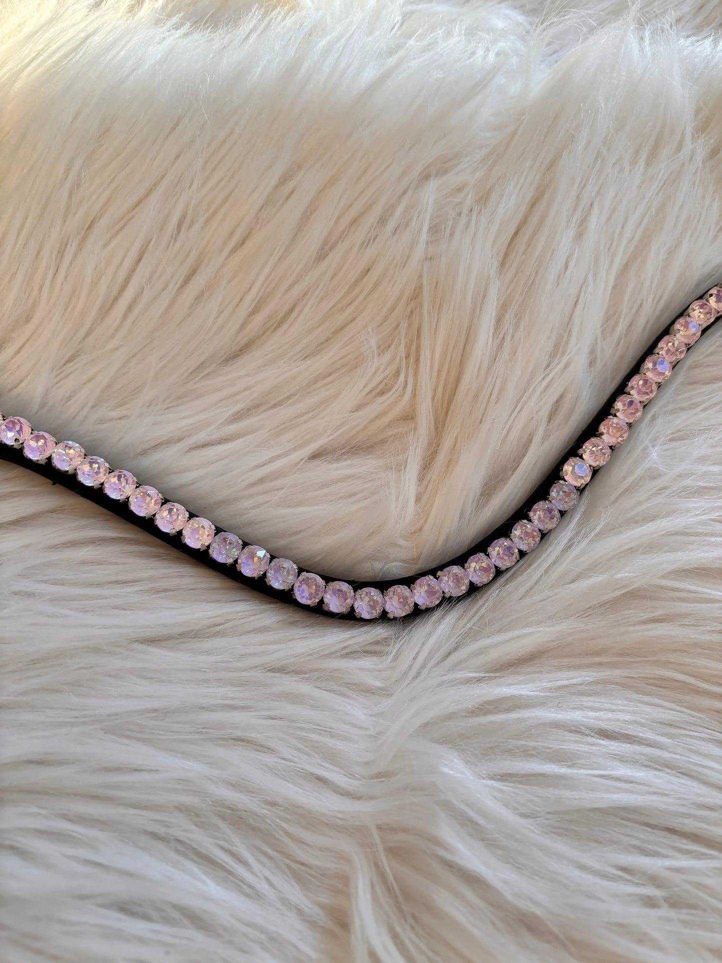 Stirnriemen Slim Day Glow CR-Harmonyequestrian