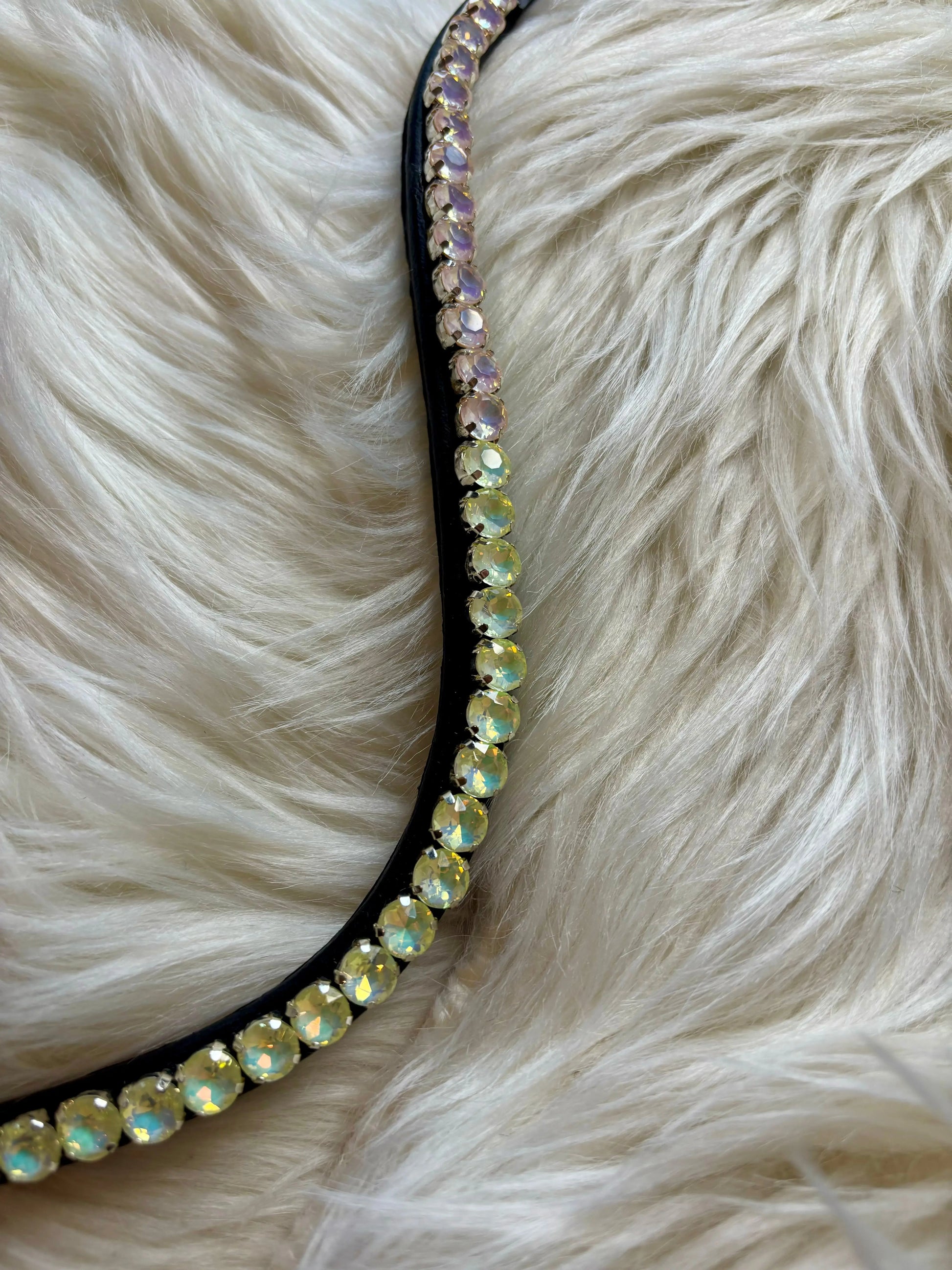 Stirnriemen Electric Vibes CR-Harmonyequestrian