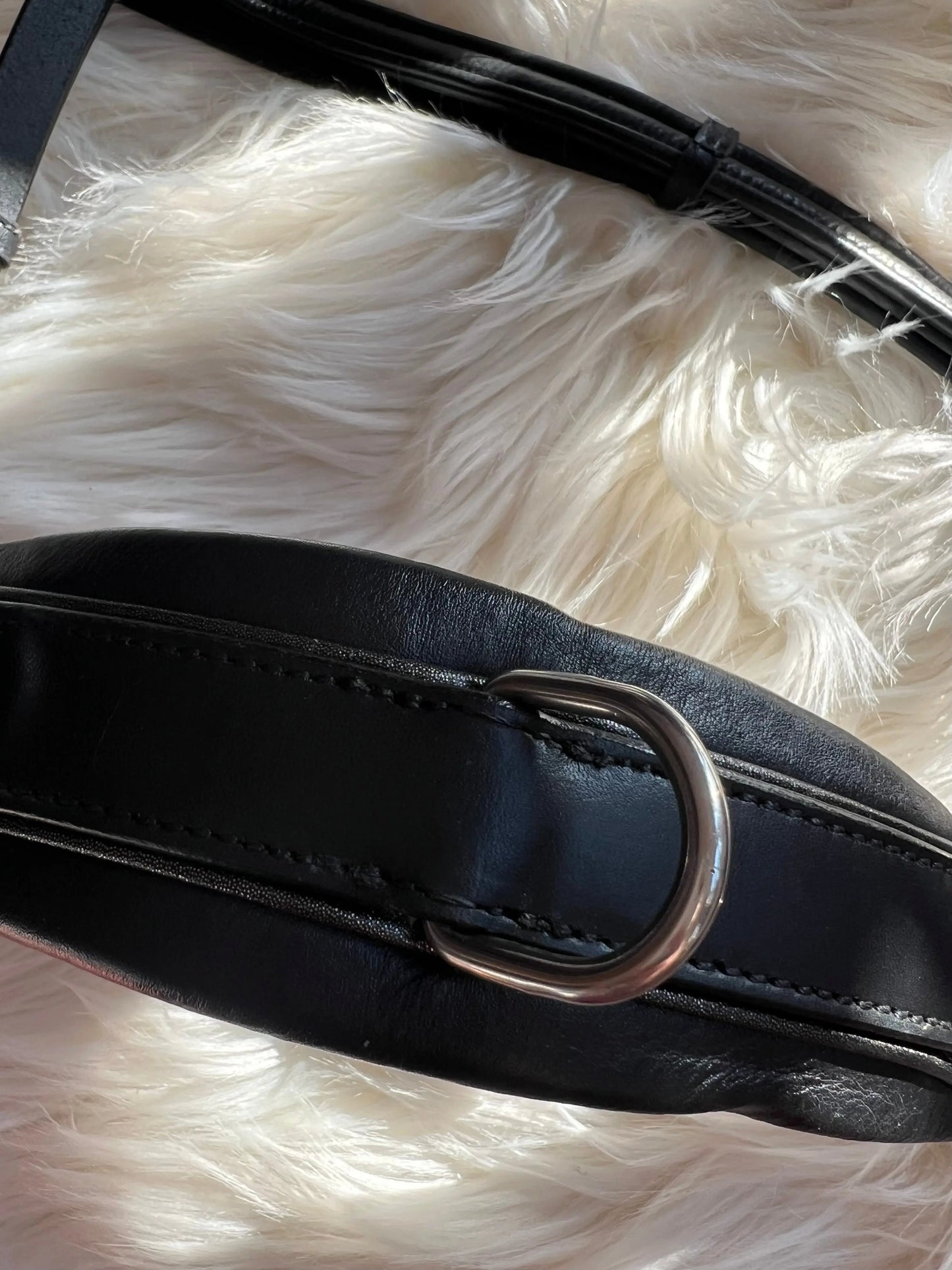 Multizaum Vollblut - CR-Harmonyequestrian