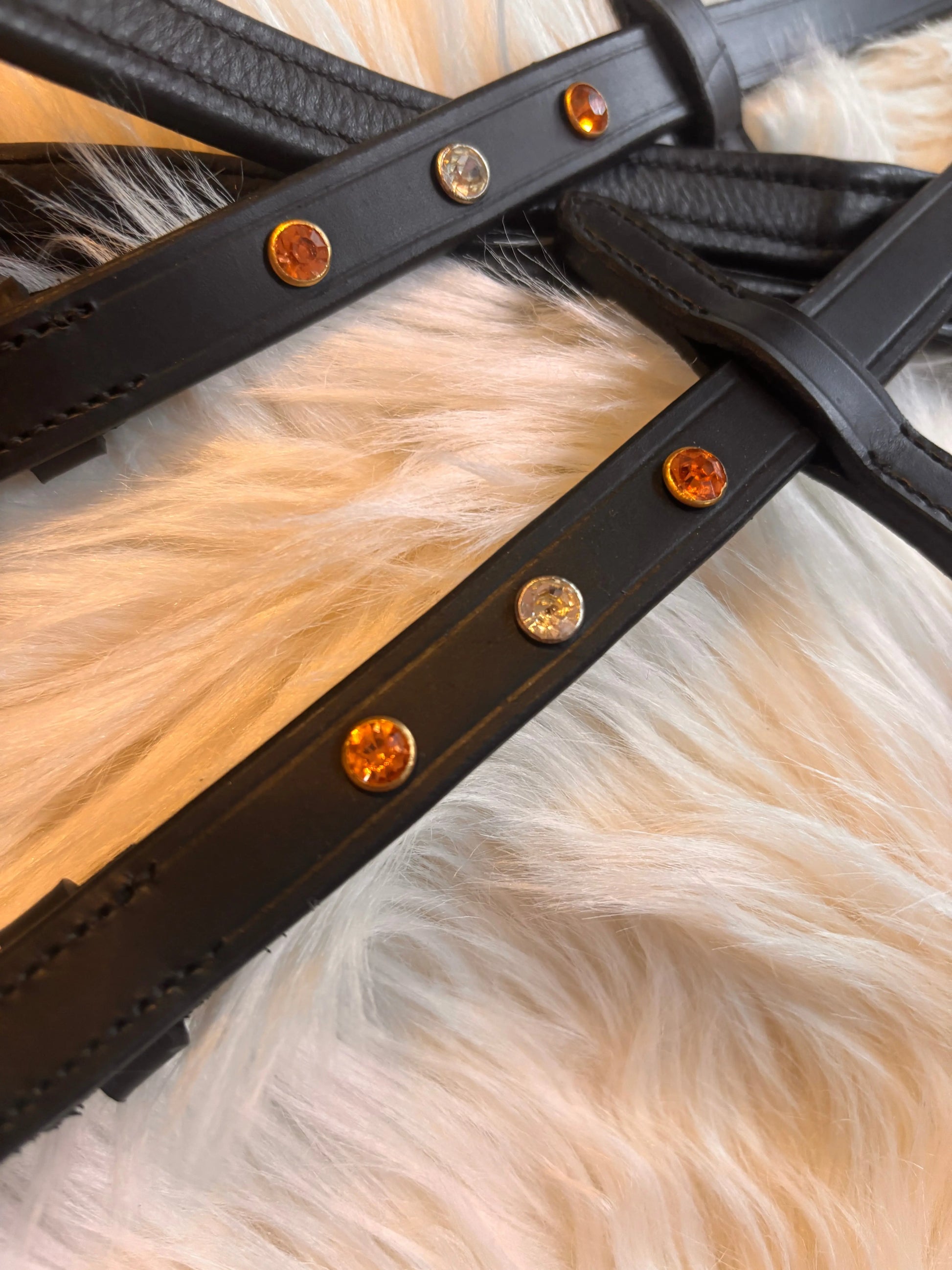 Zügel CR-Harmonyequestrian