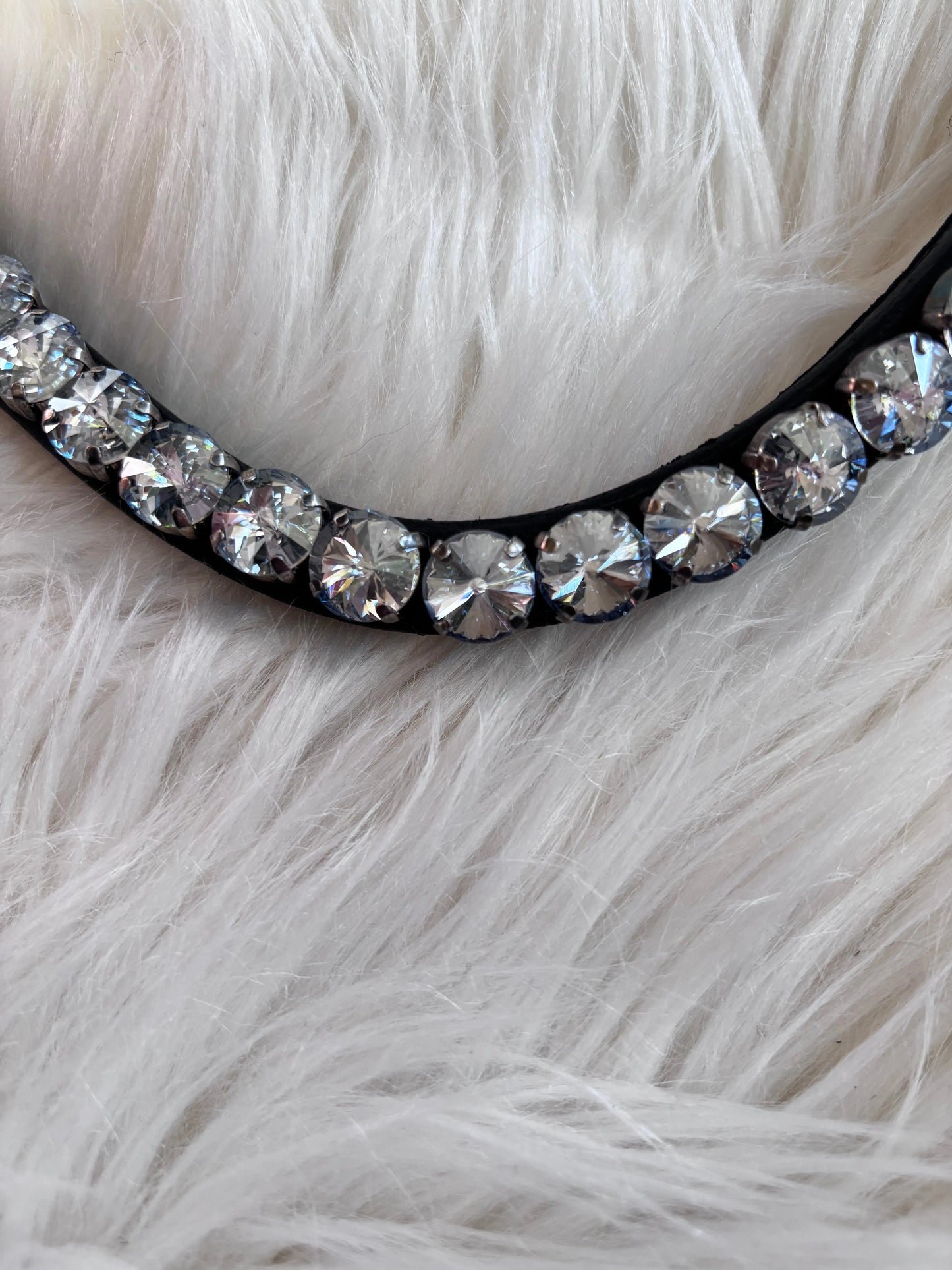 Stirnriemen Big Universe - CR-Harmonyequestrian