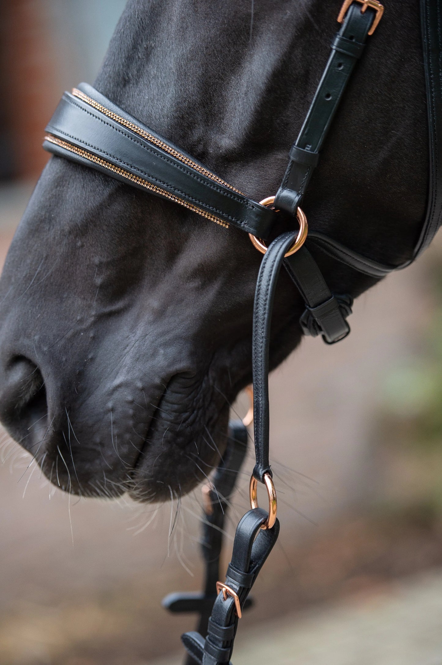 Harmony Bridle Roségold Editon CR-Harmonyequestrian