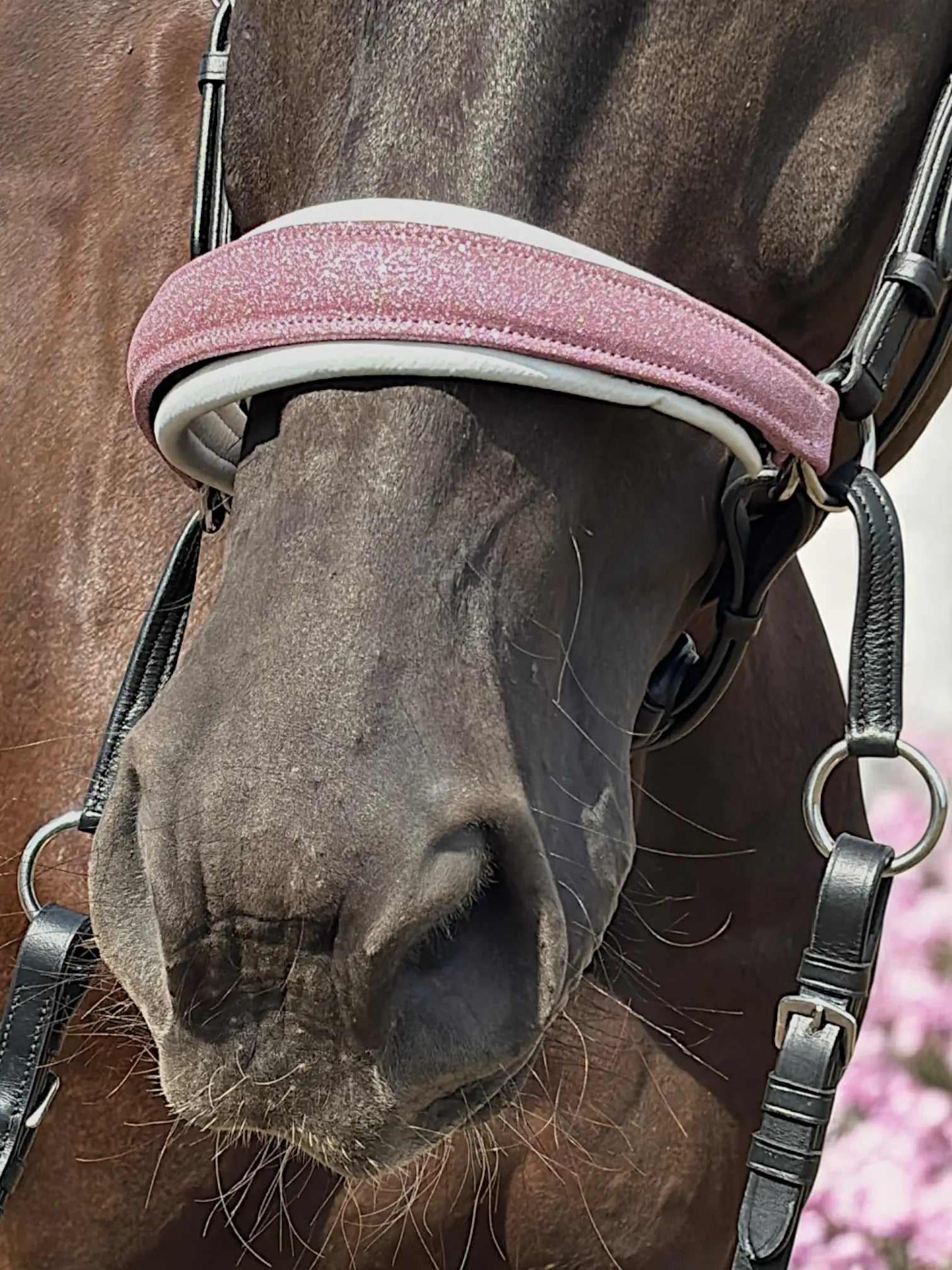 Glitzer Trense Rosa - gebisslos CR-Harmonyequestrian