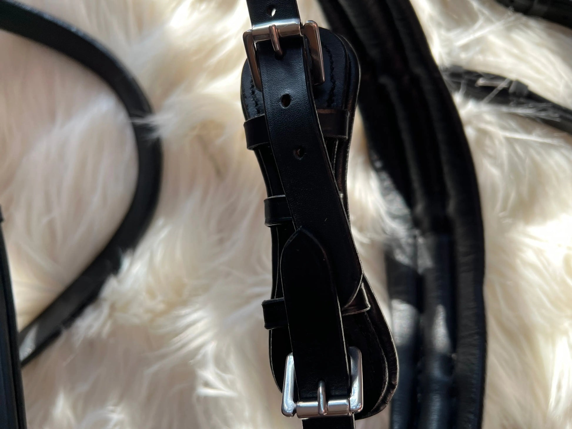 Multizaum Vollblut - CR-Harmonyequestrian